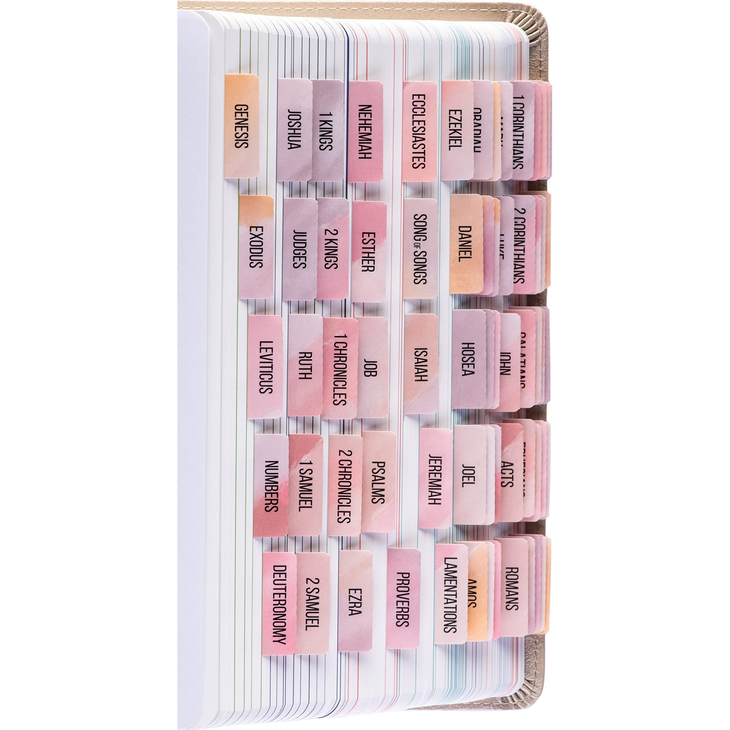 Diversebee Laminated Bible Tabs (Large Print  Easy To Read)  Bible Journaling Supplies  Bible Book Tabs  Christian Gift  66 Bible Tabs Old And New Testament  Includes 11 Blank Tabs (Boho)