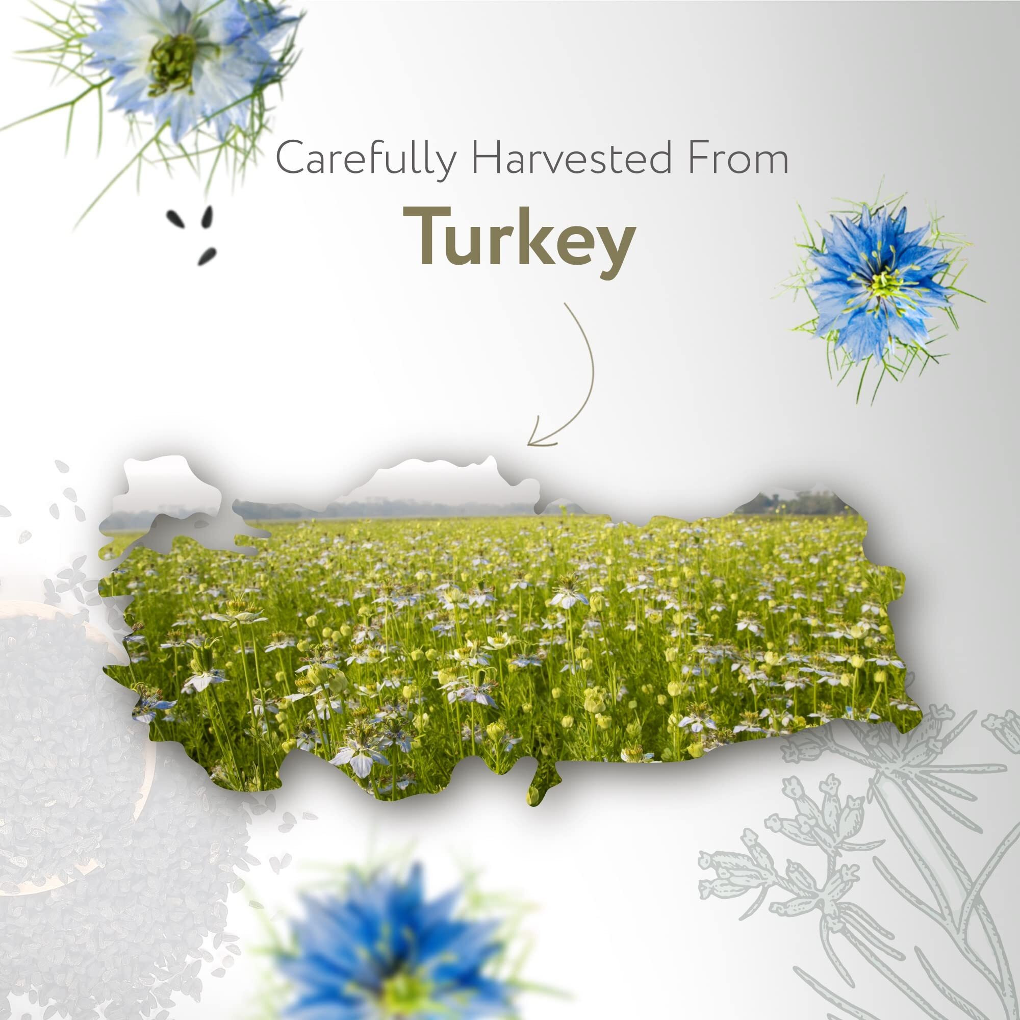 Hbno Organic Black Seed Oil - Huge 4Oz (120Ml) Glass Bottle Value Size - Usda Certified Organic Black Seed Oil  Cold Pressed For Face  Body  Lips  Shampoo & Conditioner