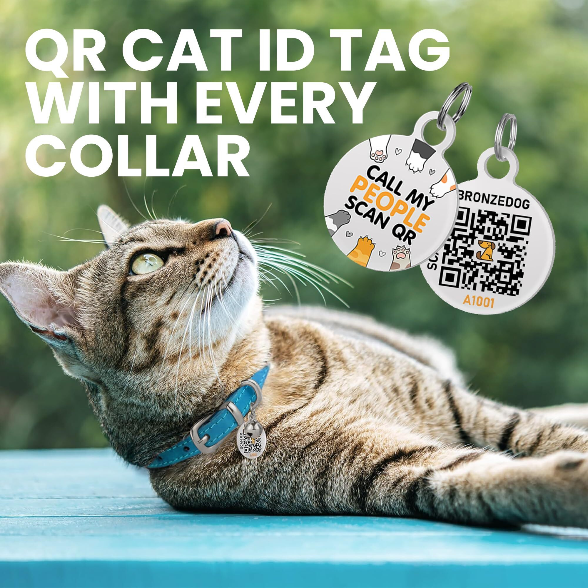 Bronzedog Leather Cat Collar With Removable Bells Non Breakaway Kitten Qr Tag For Girl Boy (7 "" - 9 "" For Cats  Blue & Silver)