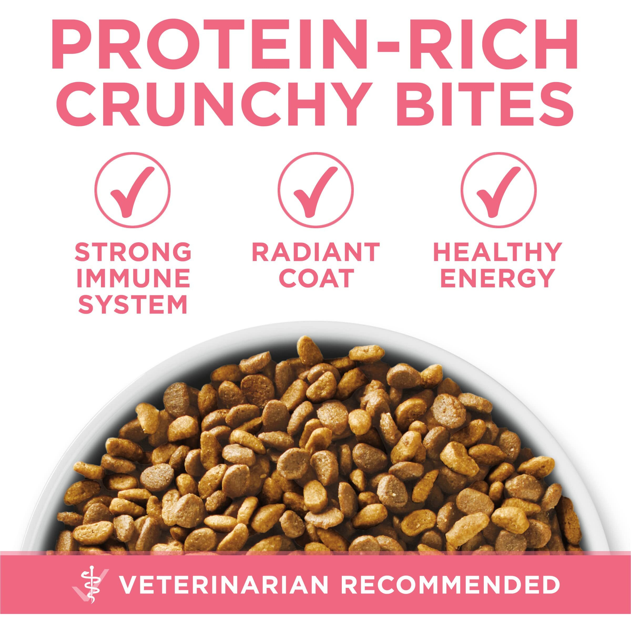 Purina One High Protein  Natural Dry Kitten Food  +Plus Healthy Kitten Formula - 7 Lb. Bag