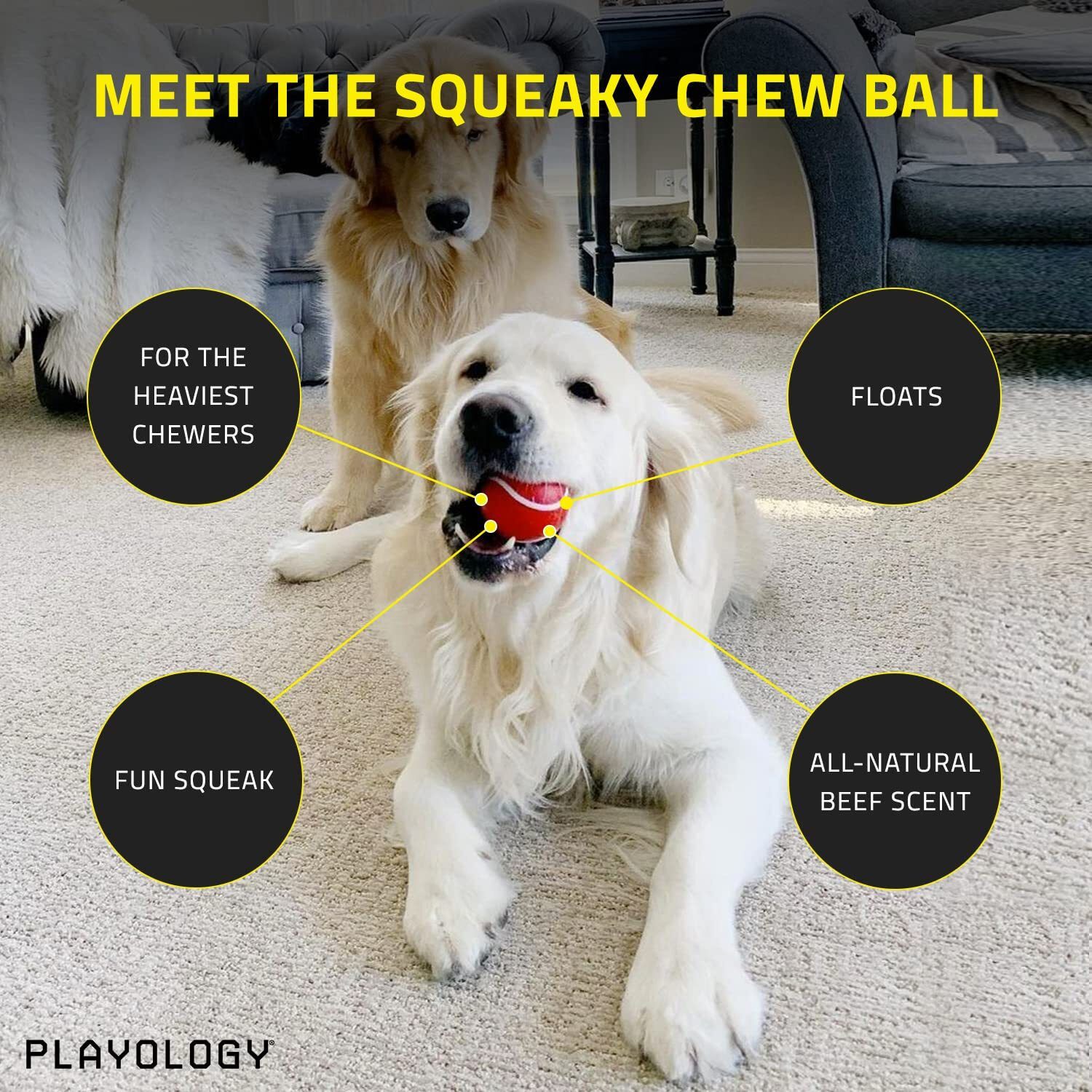 Playology Squeaky Chew Ball Dog Toy  For Extra Large Dogs (50Lbs And Up) - For Heaviest Chewers - Engaging All-Natural Beef Scented Toy - Non-Toxic Materials