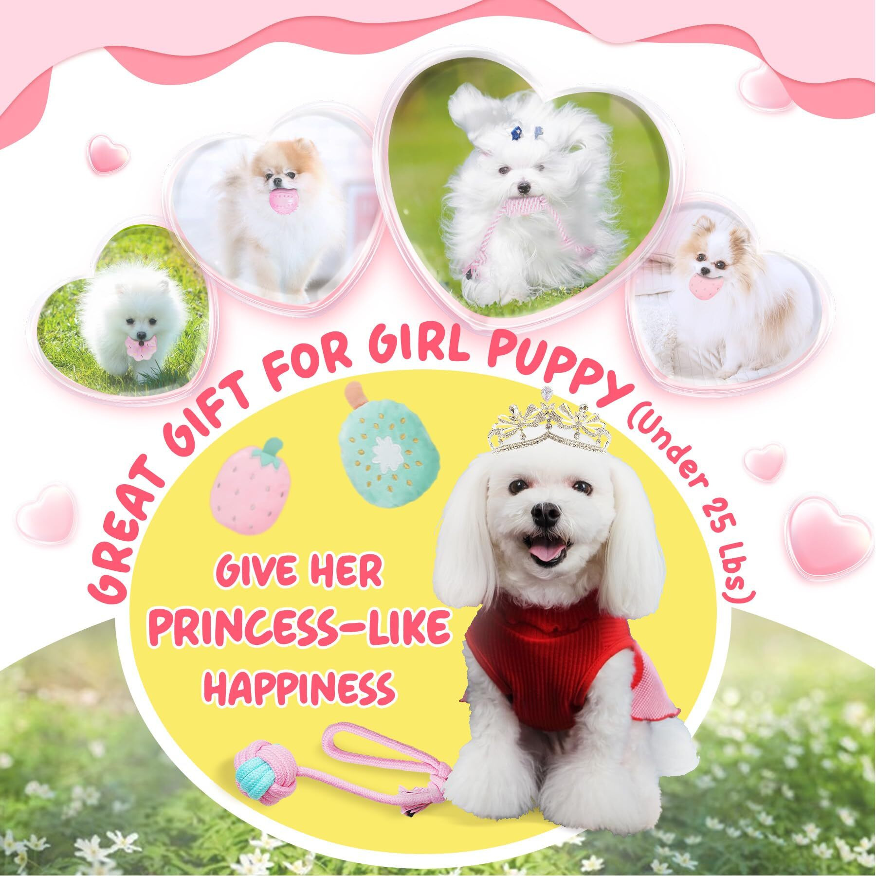 Xiugoal Pink Puppy Toys For Boredom - 23 Pack Puppy Chew Toys For Teething  Interactive Dog Toys For Puppies  Cute Small Dog Toys With Treat Ball  Squeaky Dog Chew Toys And Ropes