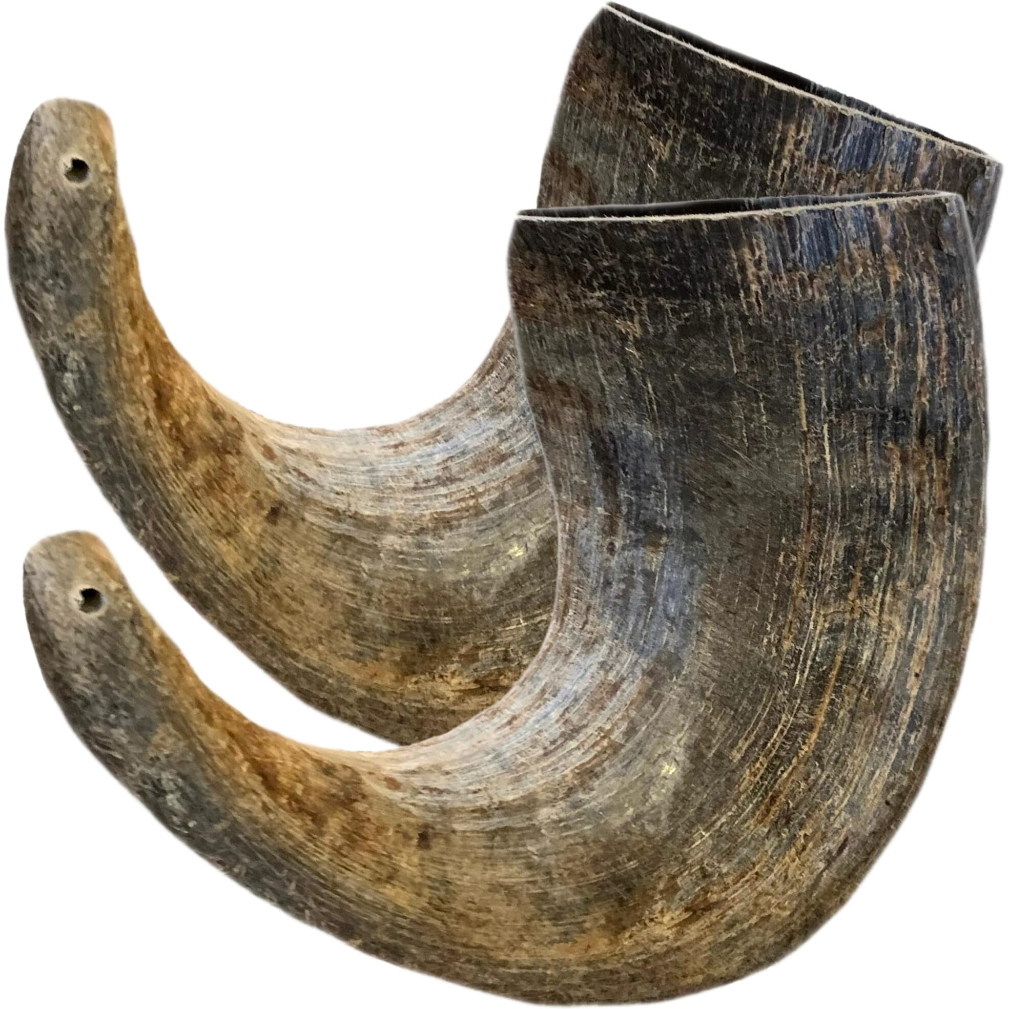 Whitetail Naturals - Water Buffalo Horns For Dogs (2 Pack Large) All-Natural Buffalo Horn Dog Bone - Long Lasting Chew Toy For Aggressive Chewers And Teething Puppies