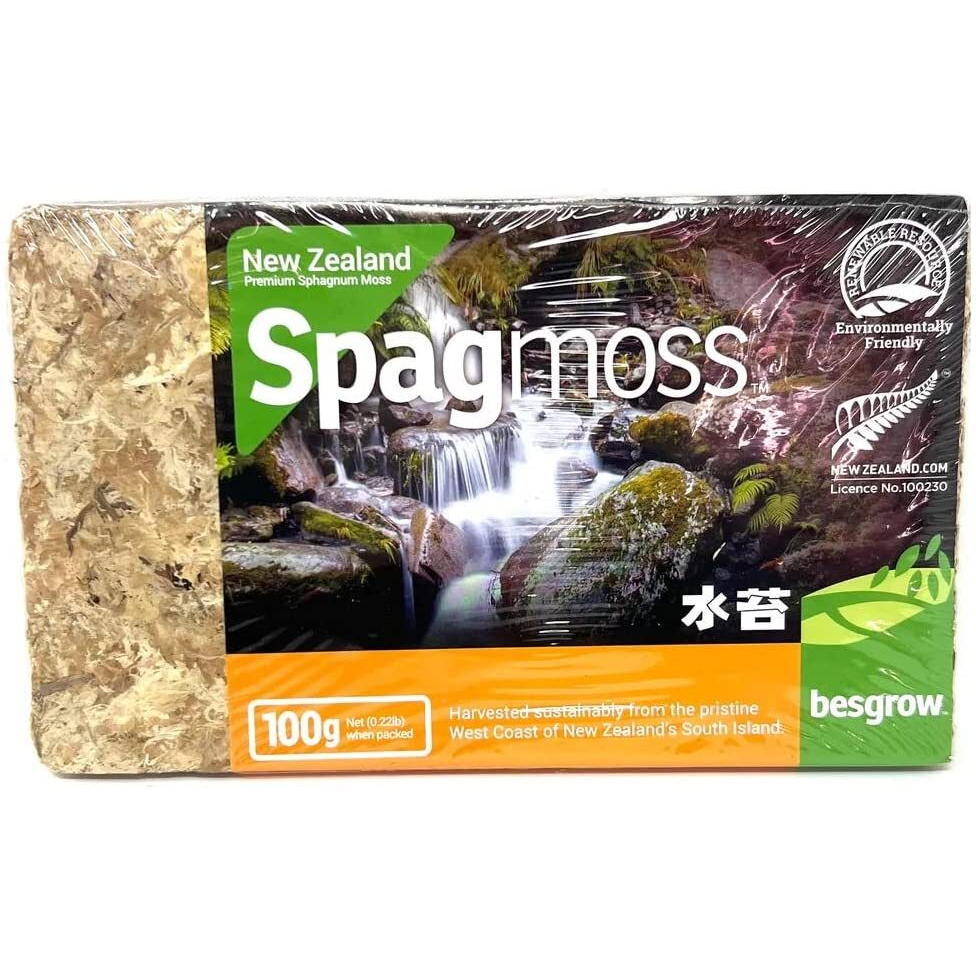 Spagmoss Premium New Zealand Sphagnum Moss Aa Grade (100 Gram)