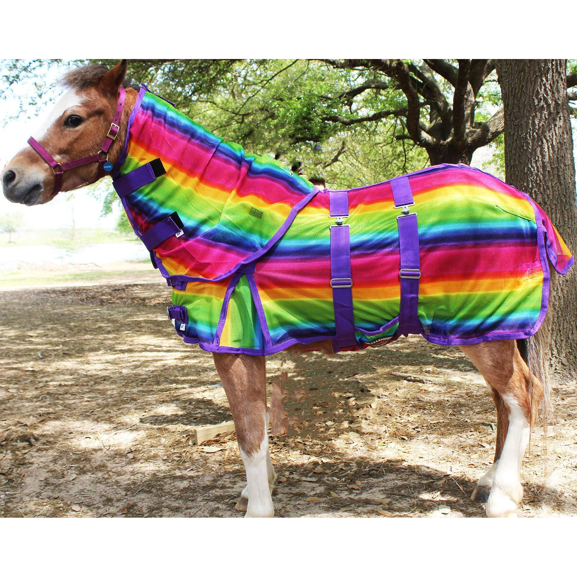 Challenger 48"" Miniature Weanling Donkey Pony Horse Foal Summer Sheet 51819