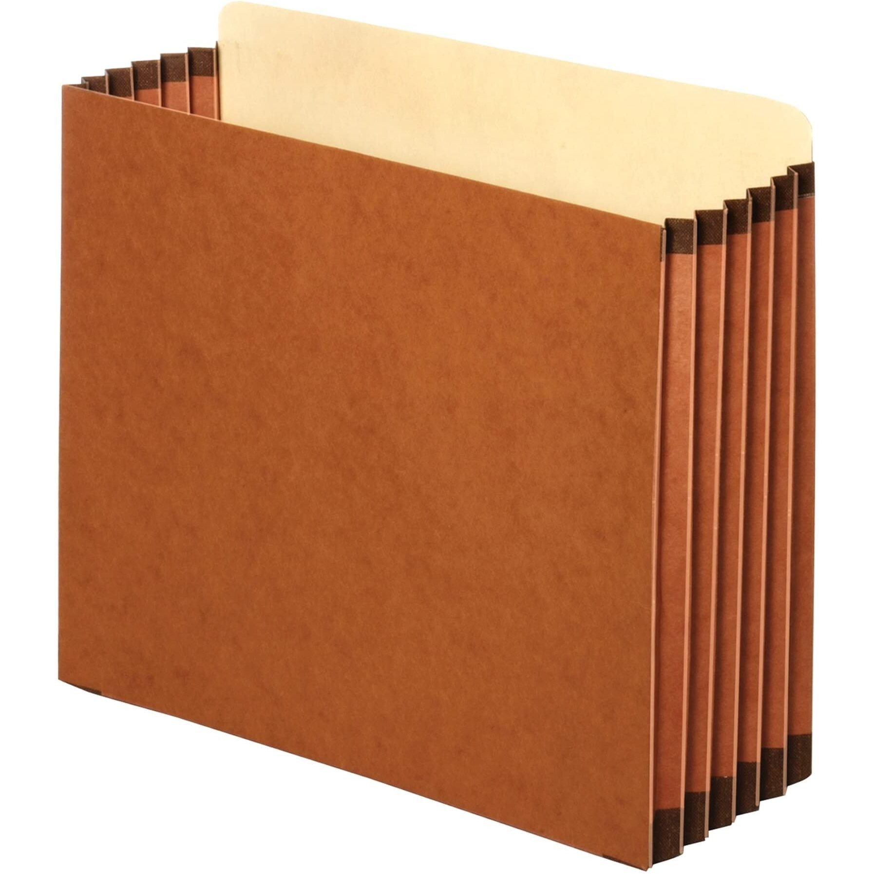 Globe-Weis/Pendaflex Redrope File Cabinet Pockets  5.25 Inch Expansion  Letter Size  10 Pockets Per Box  Brown (Fc1534G)