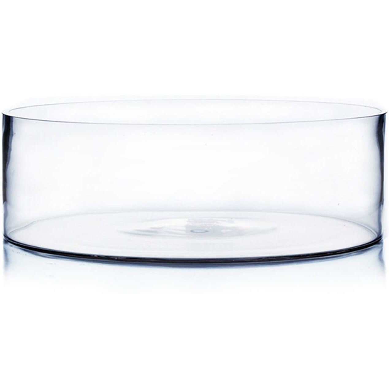 Wgv Cylinder Vase  Open Width 12""  Height 4""  Clear Flat Pan Style Container  Planter Terrarium  Floral Centerpiece For Wedding Party Event  Home Office Decor  1 Piece