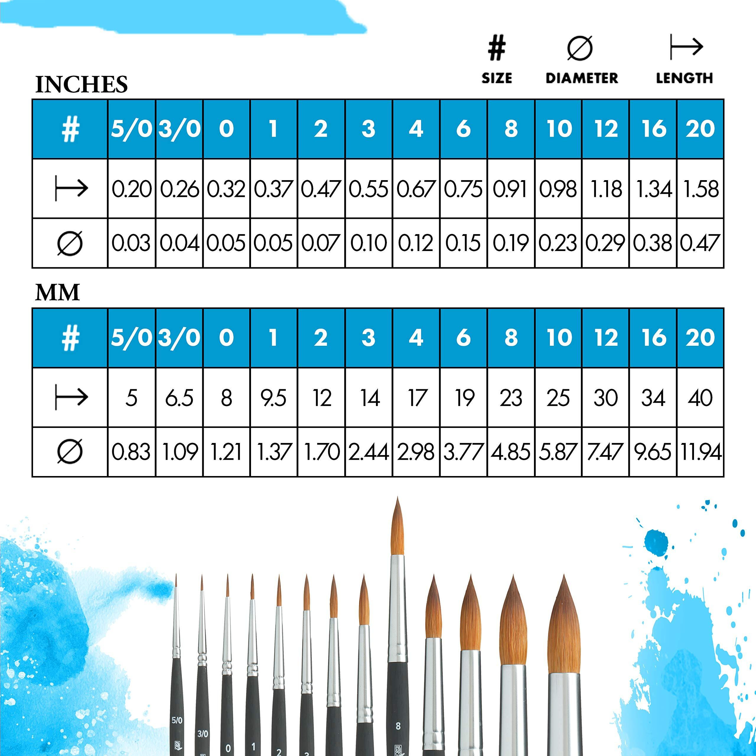 Princeton Aqua Elite  Series 4850  Synthetic Kolinsky Watercolor Paint Brush Round  8