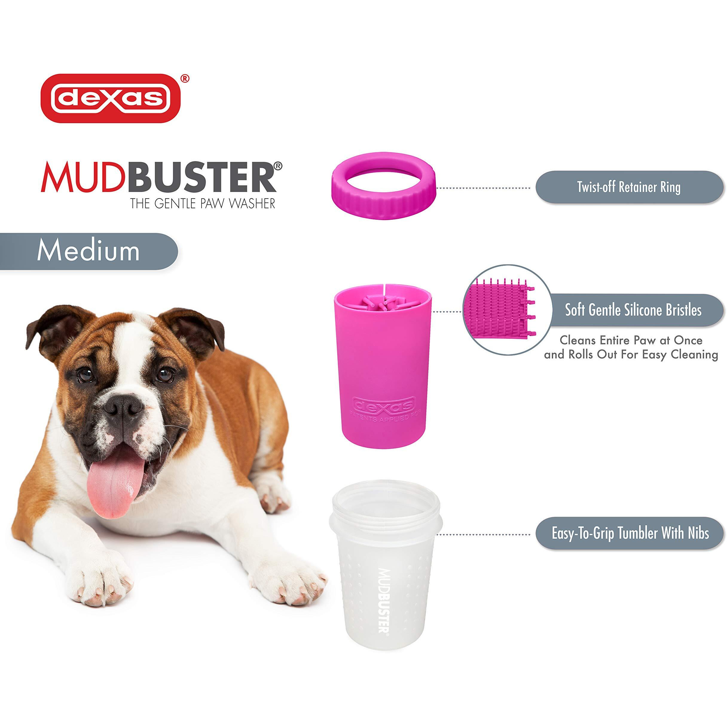 Dexas Mudbuster Portable Dog Paw Washer/Paw Cleaner  Medium  Fuchsia