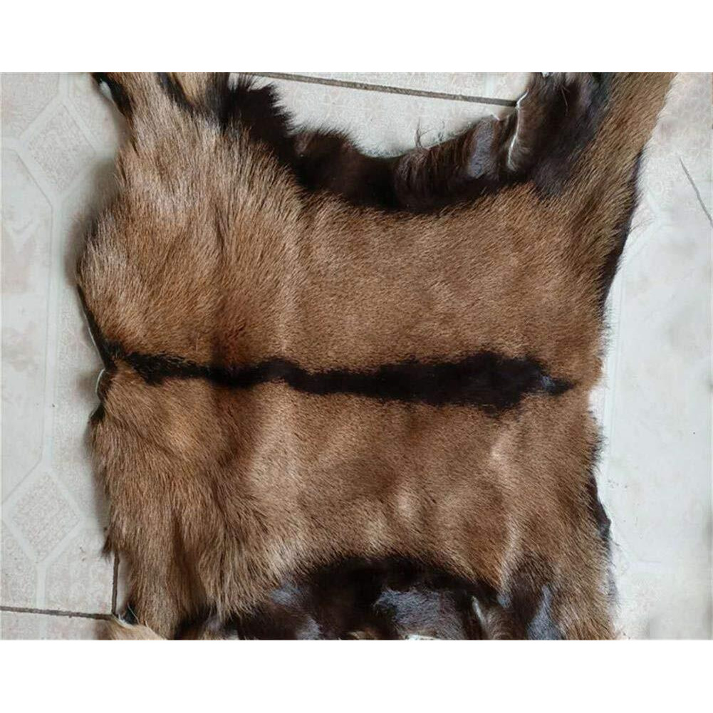 Real Antelope Goat Hide Fur Skin Pelt Fur Sheepskin Leather Fur Skin Clothing Accessories 1Pcs (Approx 16"&quotX20"")