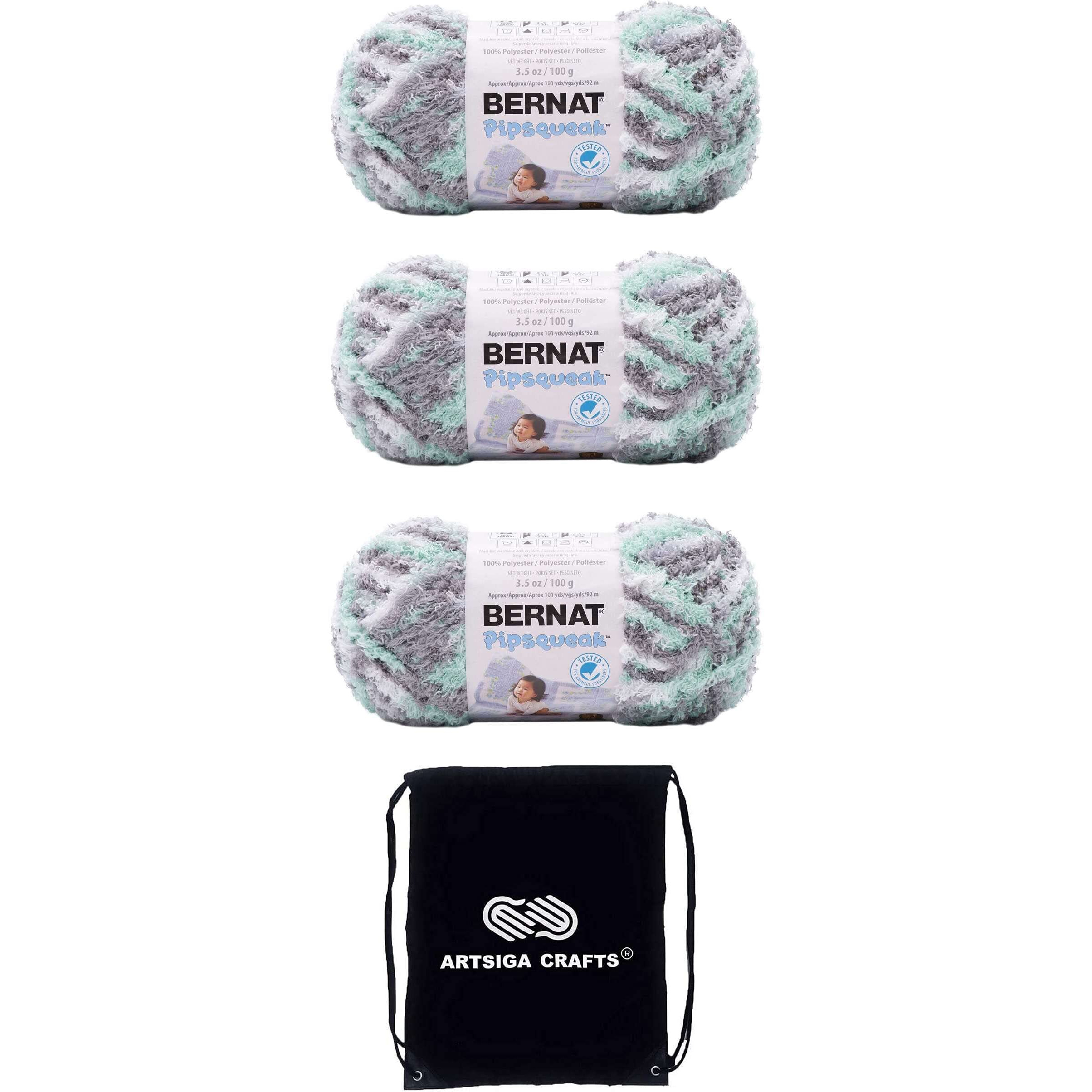 Bernat Pipsqueak Seaspray Variegated 162059-59754 (3-Skeins - Same Dye Lot) Chunky Bulky 5 Polyester Yarn For Crocheting And Knitting - Bundle With 1 Artsiga Crafts Project Bag