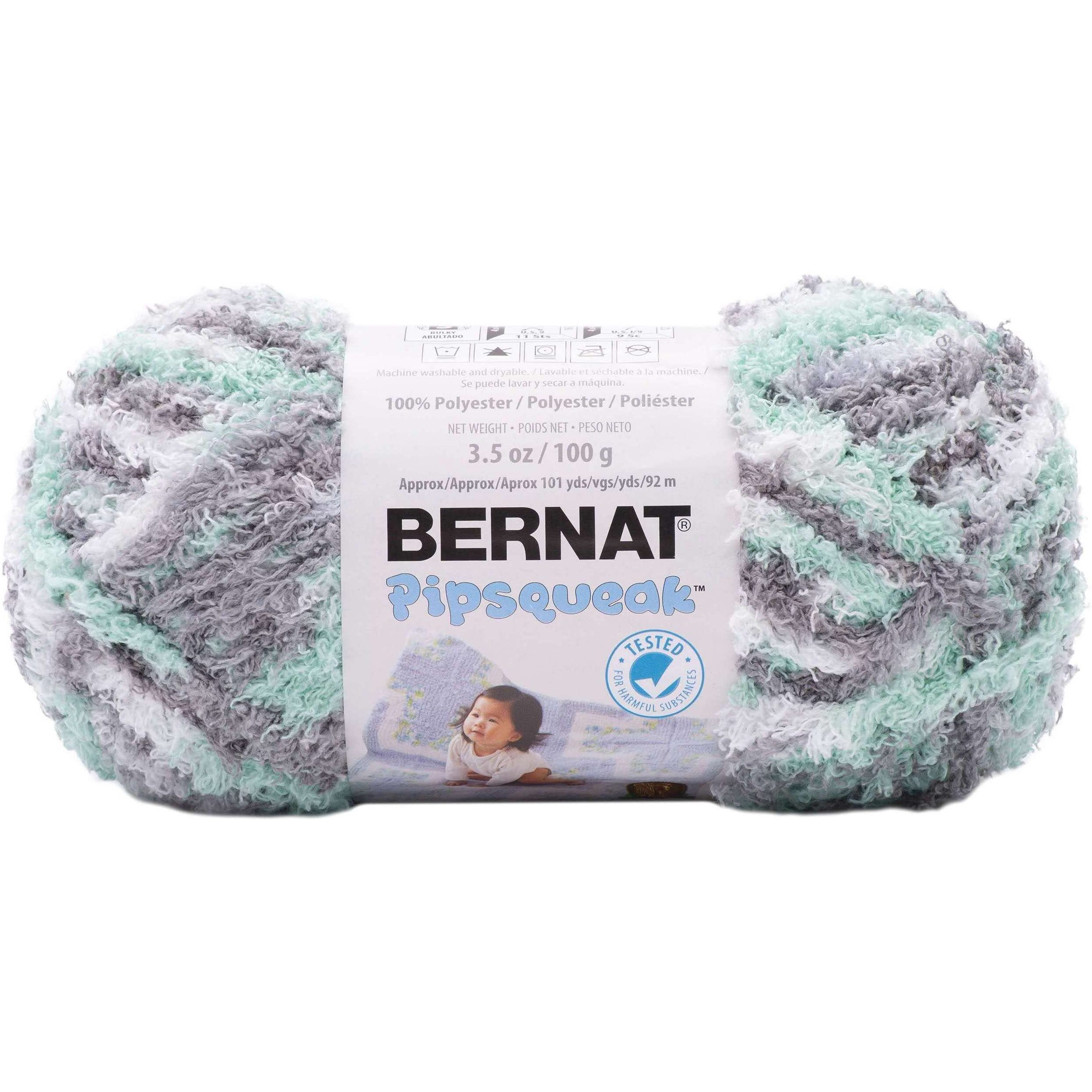 Bernat Pipsqueak Seaspray Variegated 162059-59754 (3-Skeins - Same Dye Lot) Chunky Bulky 5 Polyester Yarn For Crocheting And Knitting - Bundle With 1 Artsiga Crafts Project Bag