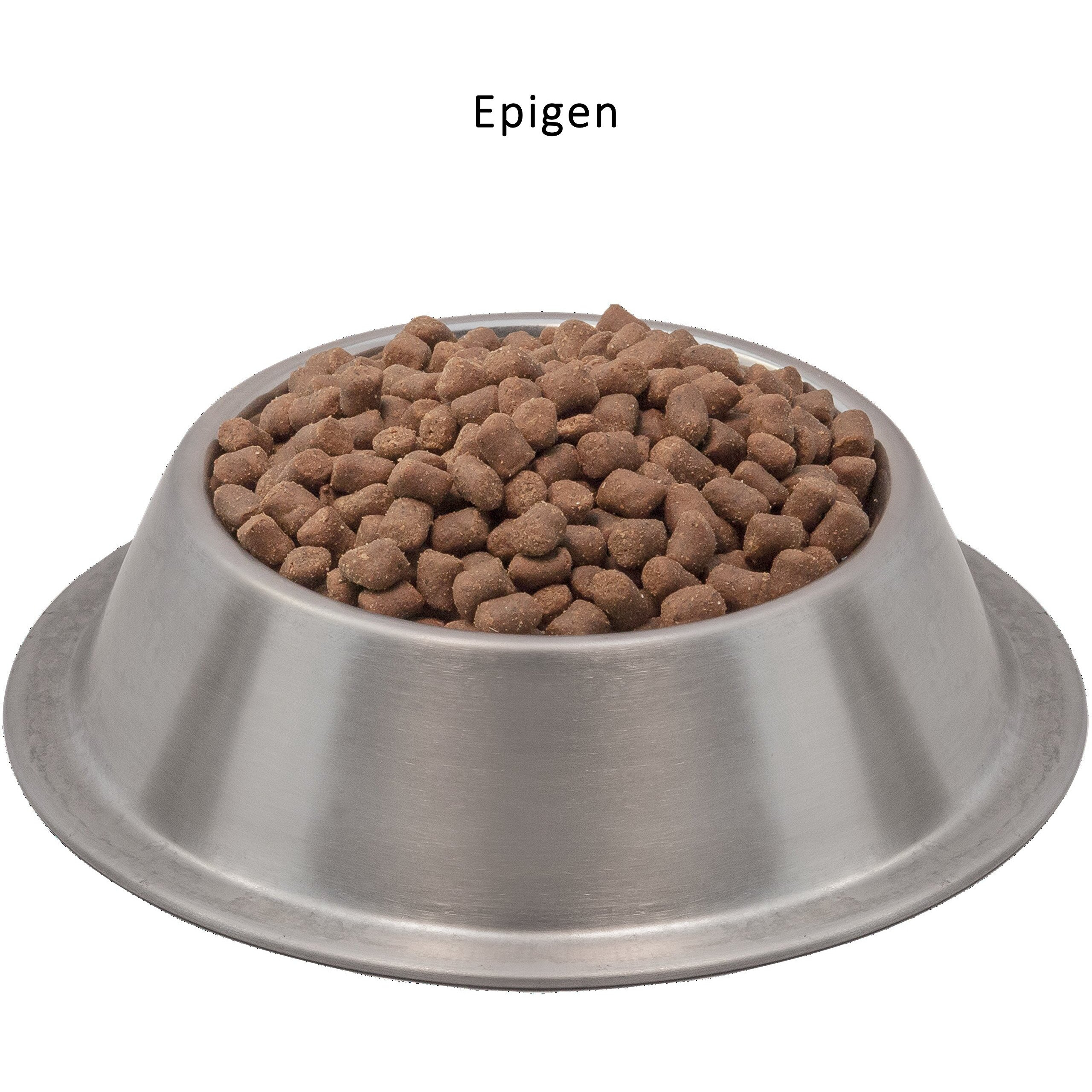 Wysong Epigen Canine/Feline Dry Diet - Dog/Cat Food- 5 Pound Bag (Wdcfe5)