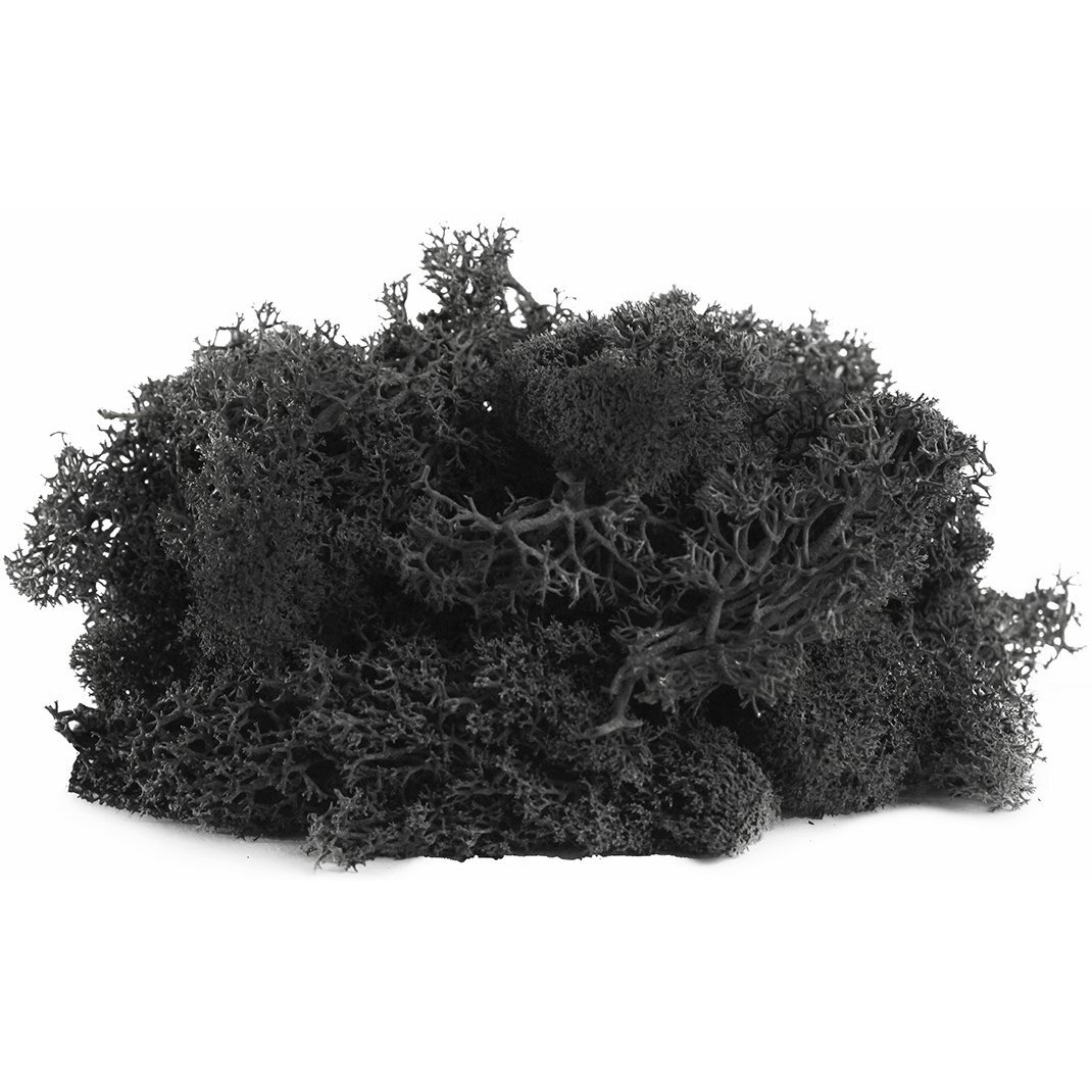 Supermoss 7 59834 25123 1 Super Moss  80.75 Cubic Inch (In3) Bag (Appx. 2Oz)  Black