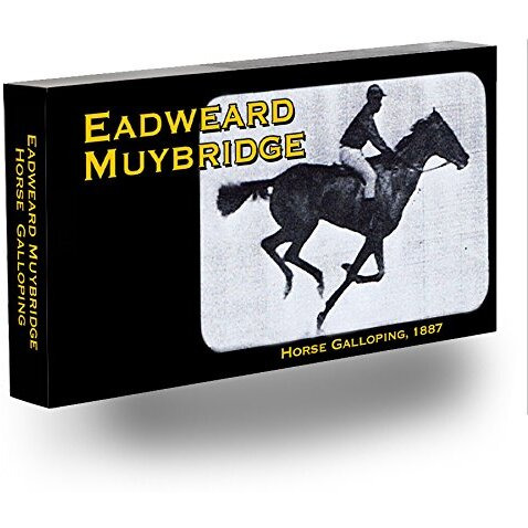 Fliptomania Muybridge Horse Flipbook