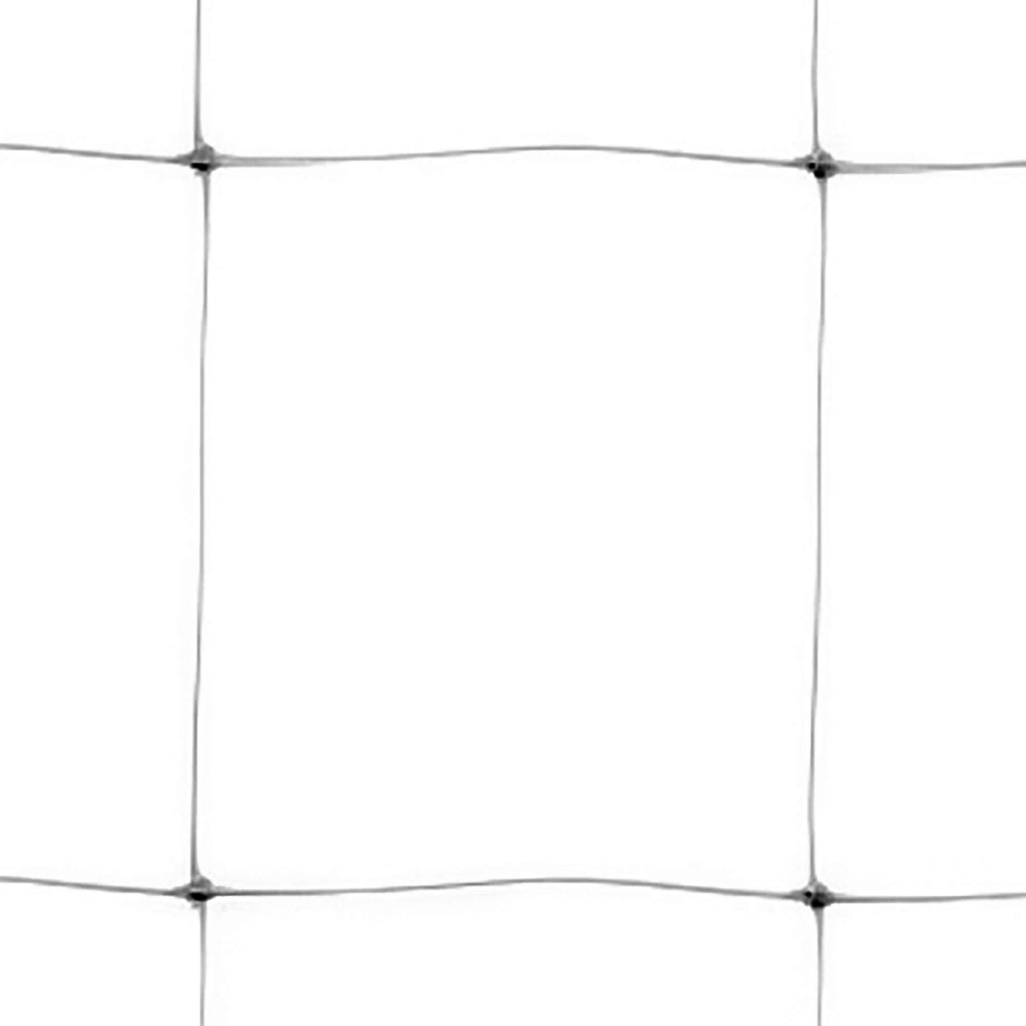 Tenax Hortonova Plant Trellis Net Lm  67"" X 328'  White