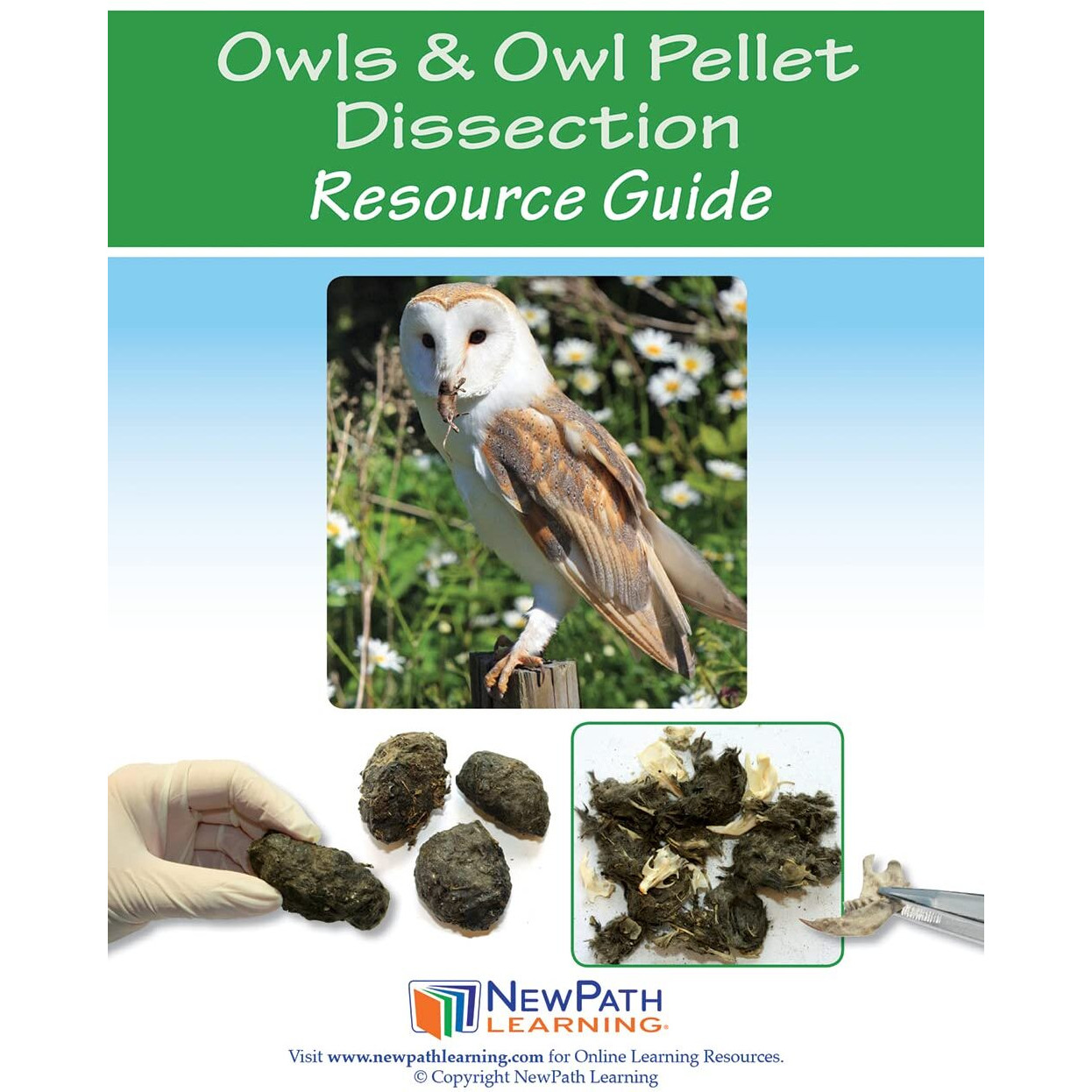 Newpath Learning-14-6715 Owls And Owl Pellet Dissection Resource Guide - Self-Directed Readings  Illustrated Explanations