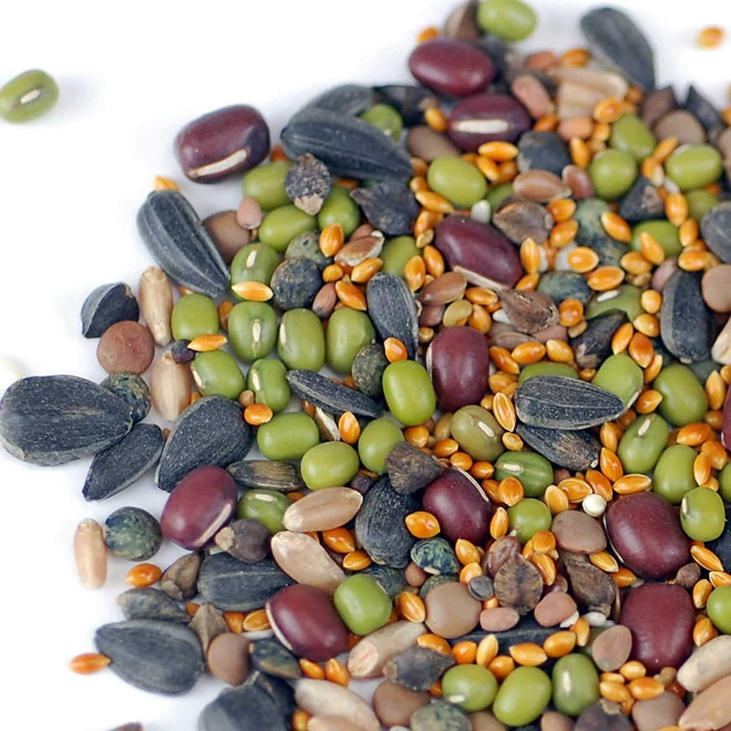 Handy Pantry Organic Birdseed - 1 Lb - Sprouting Bird Seed Mix For Small  Medium & Large Birds- Feed For Songbirds  Parakeets  Parrots  Etc