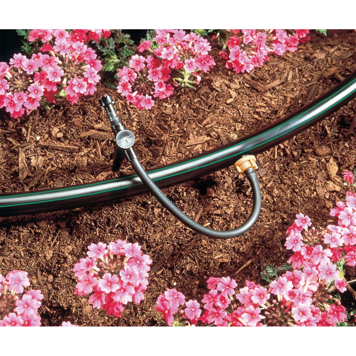 Rain Bird Sw50/05Ps Drip Irrigation Spot Watering Dripper/Emitter With Diffuser Cap  5 Gallon Per Hour  5-Pack