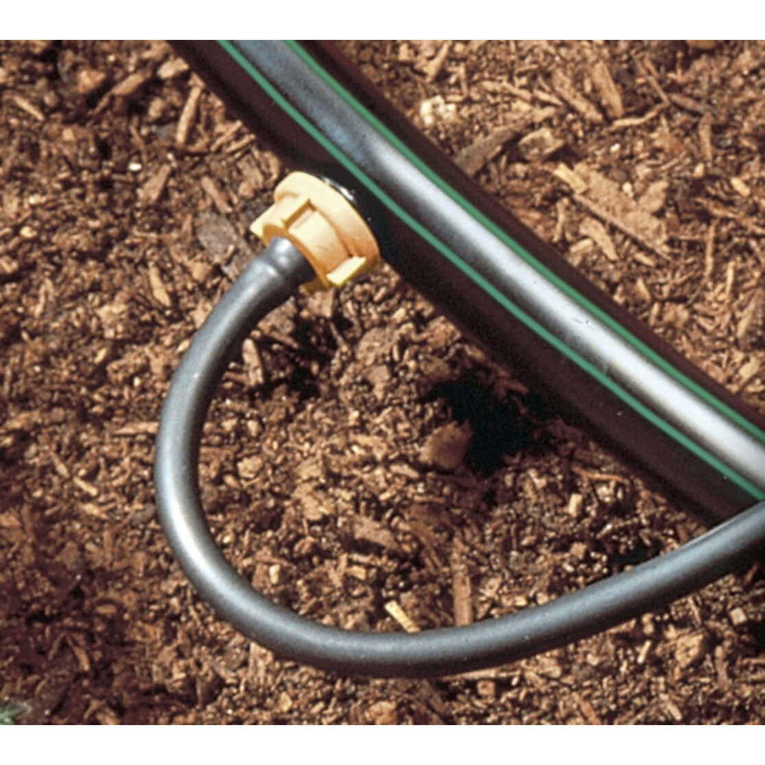 Rain Bird Sw50/05Ps Drip Irrigation Spot Watering Dripper/Emitter With Diffuser Cap  5 Gallon Per Hour  5-Pack