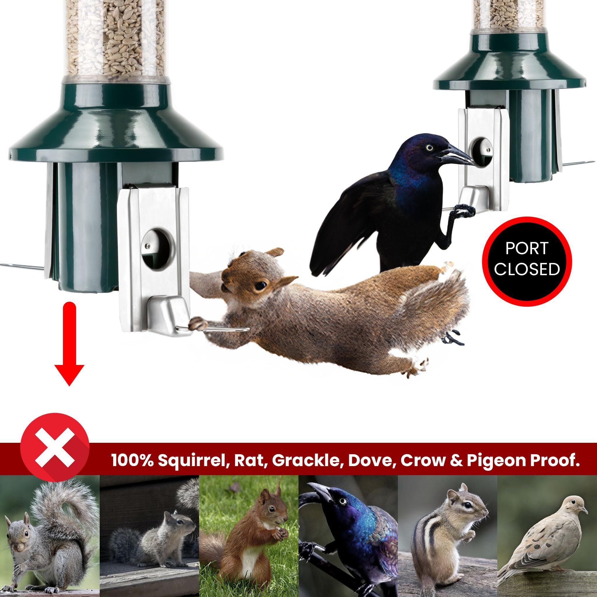 Roamwild Pestoff 2.0 Squirrel Proof Wild Bird Feeder Mixed Seed Sunflower Heart Version - Green - Huge 4Lbs Seed Capacity - 26 X8 X8  (W/Hanger)