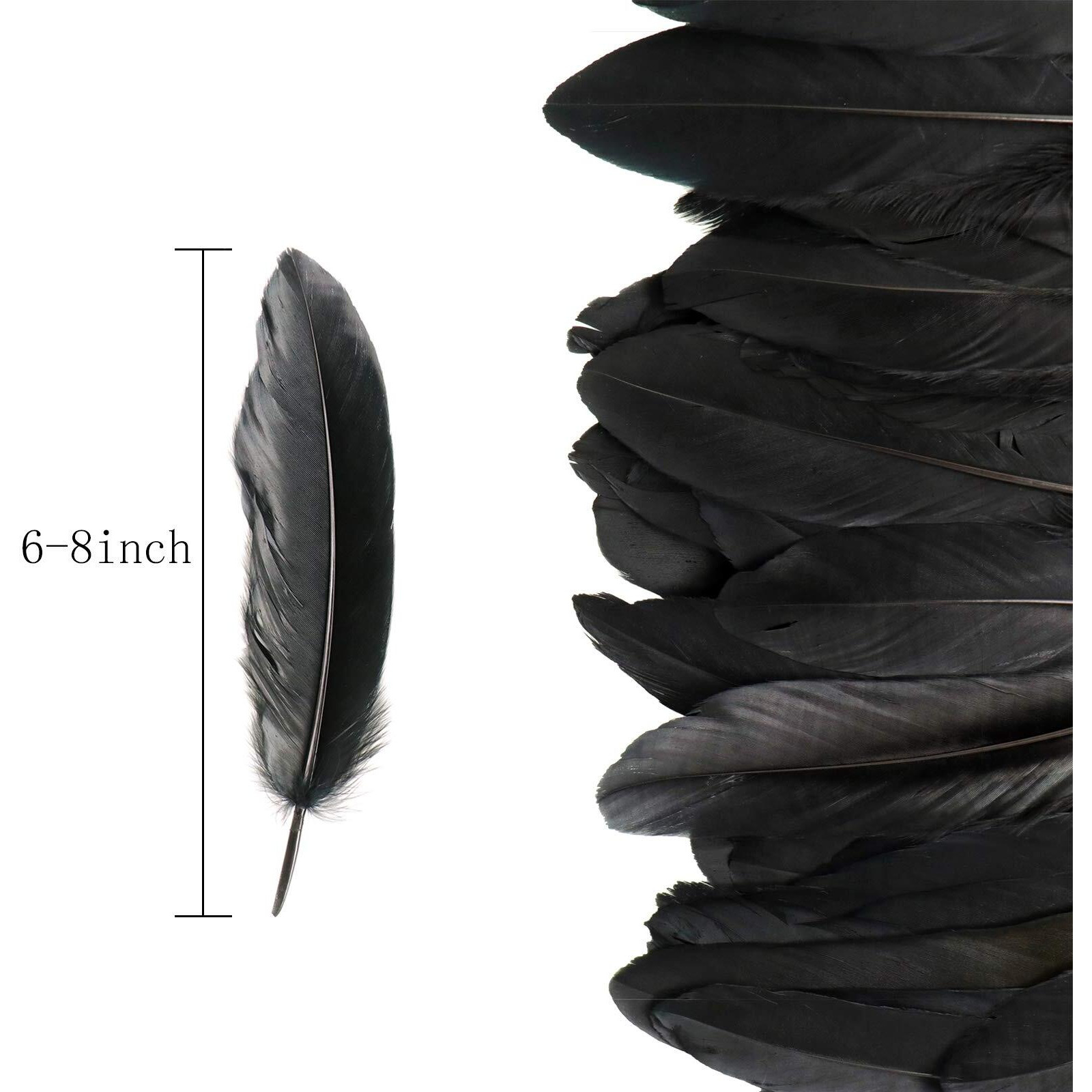 Haimay 200 Pieces Black Feathers For Craft Wedding Home Party Decorations  6-8 Inches Goose Feathers Black Craft Feathers