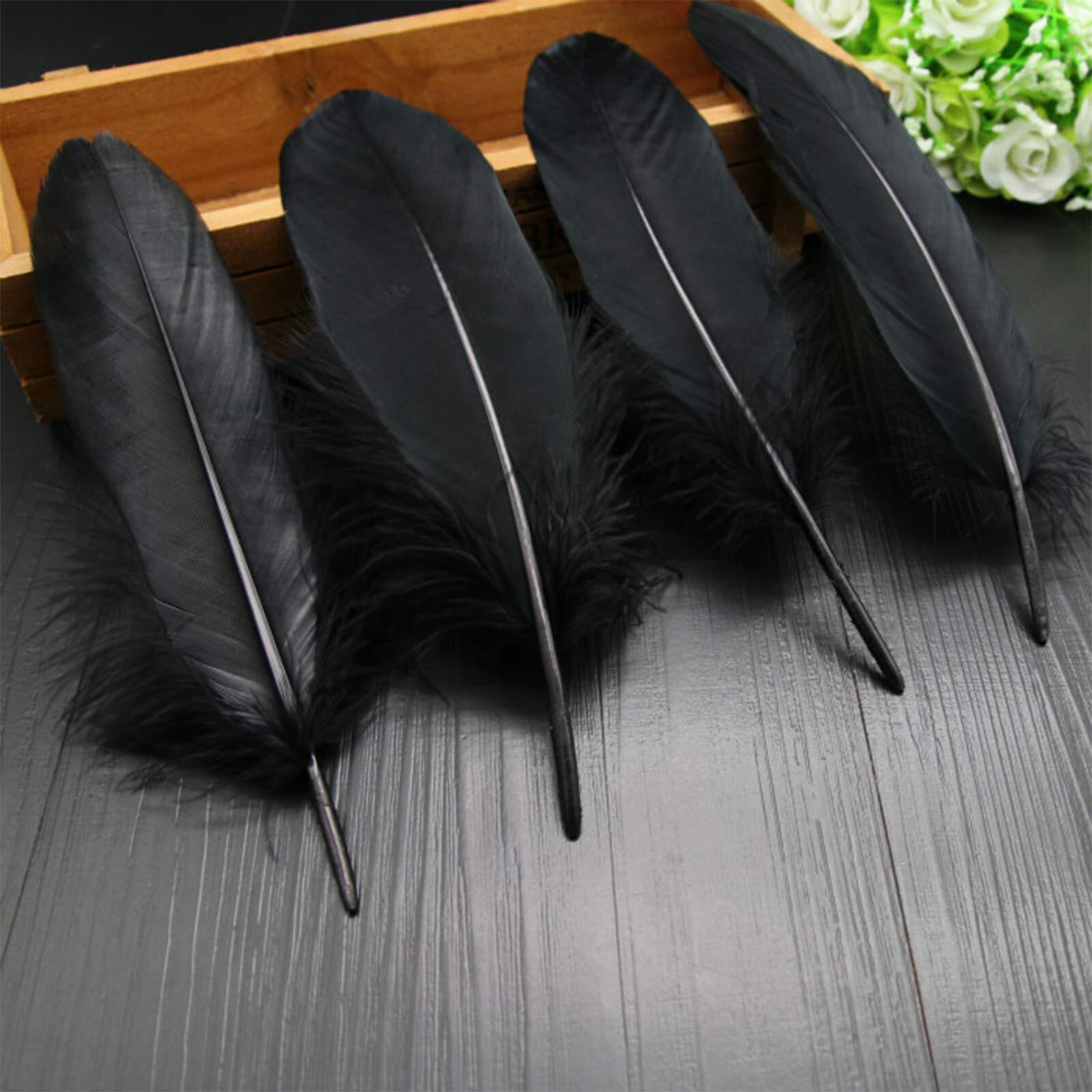 Haimay 200 Pieces Black Feathers For Craft Wedding Home Party Decorations  6-8 Inches Goose Feathers Black Craft Feathers