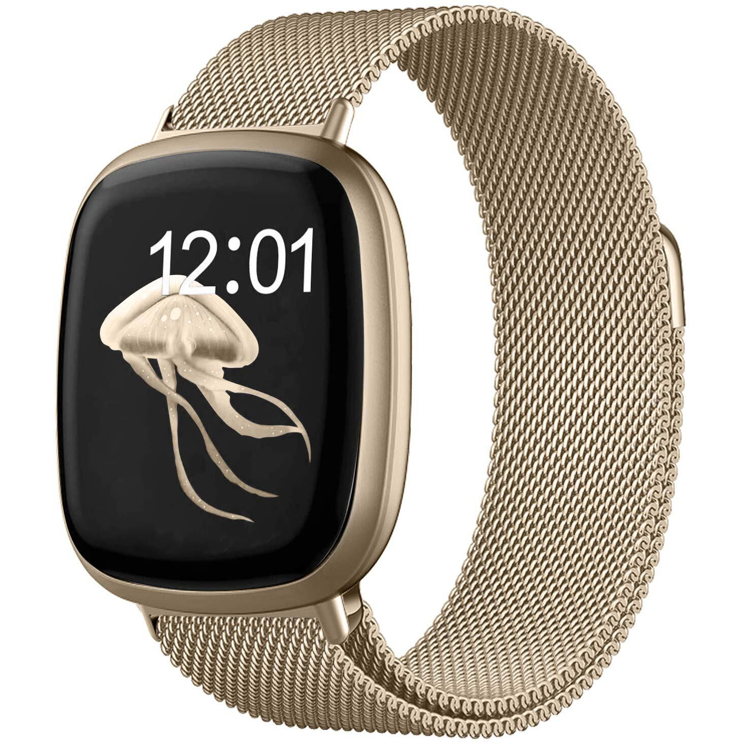 Watdpro Compatible With Fitbit Versa 3 Bands/Fitbit Sense Bands For Women Men  Stainless Steel Mesh Loop Replacement Bracelet Magnet Wristband Strap For Fitbit Versa 3/Sense Smartwatch
