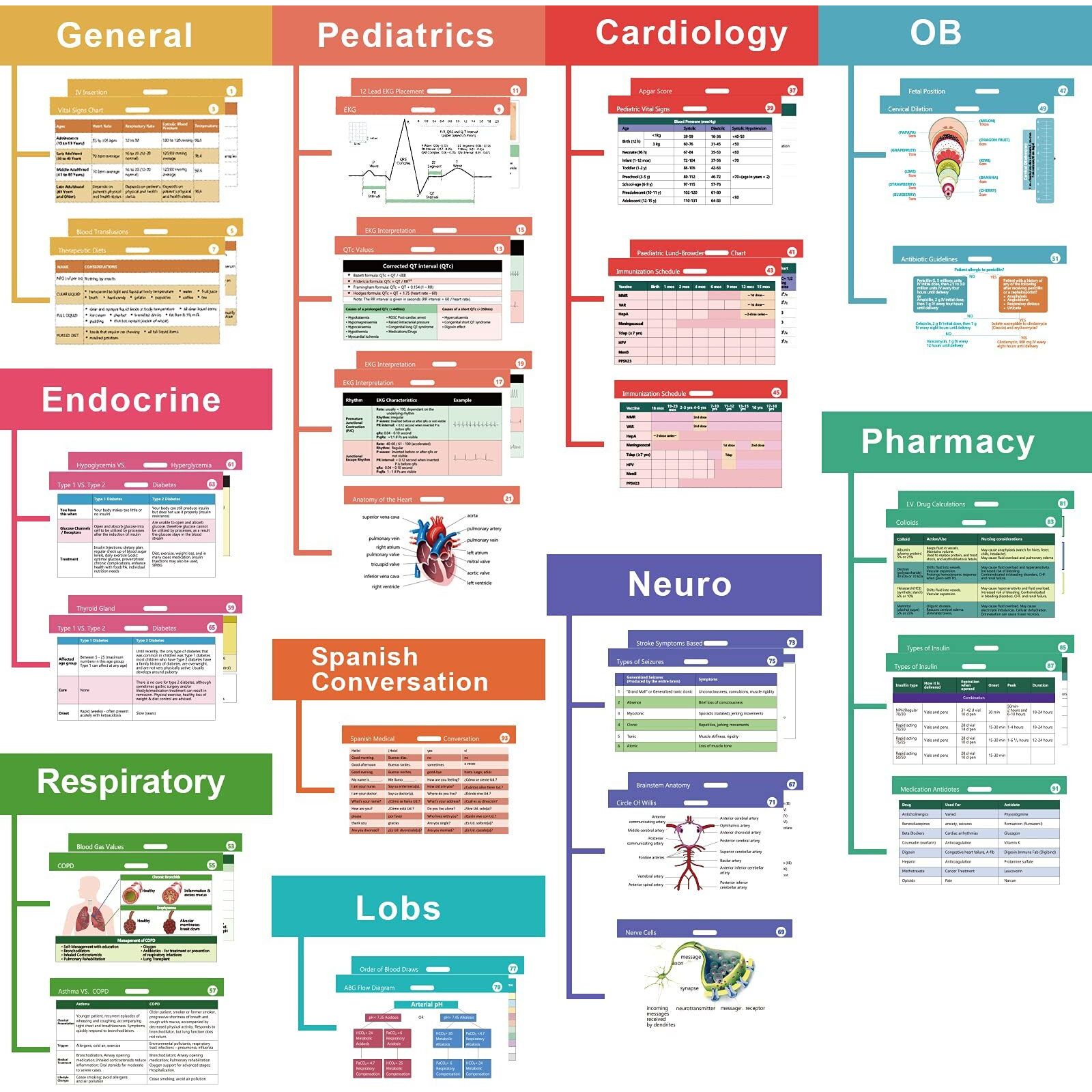 49 Horizontal Nursing Badge Reference Cards  Nursing School Essentials Set  Bonus Cheat Sheets - Lab Values  Ekg  Vitals  Etc For Nurse  Lpn  Or Students