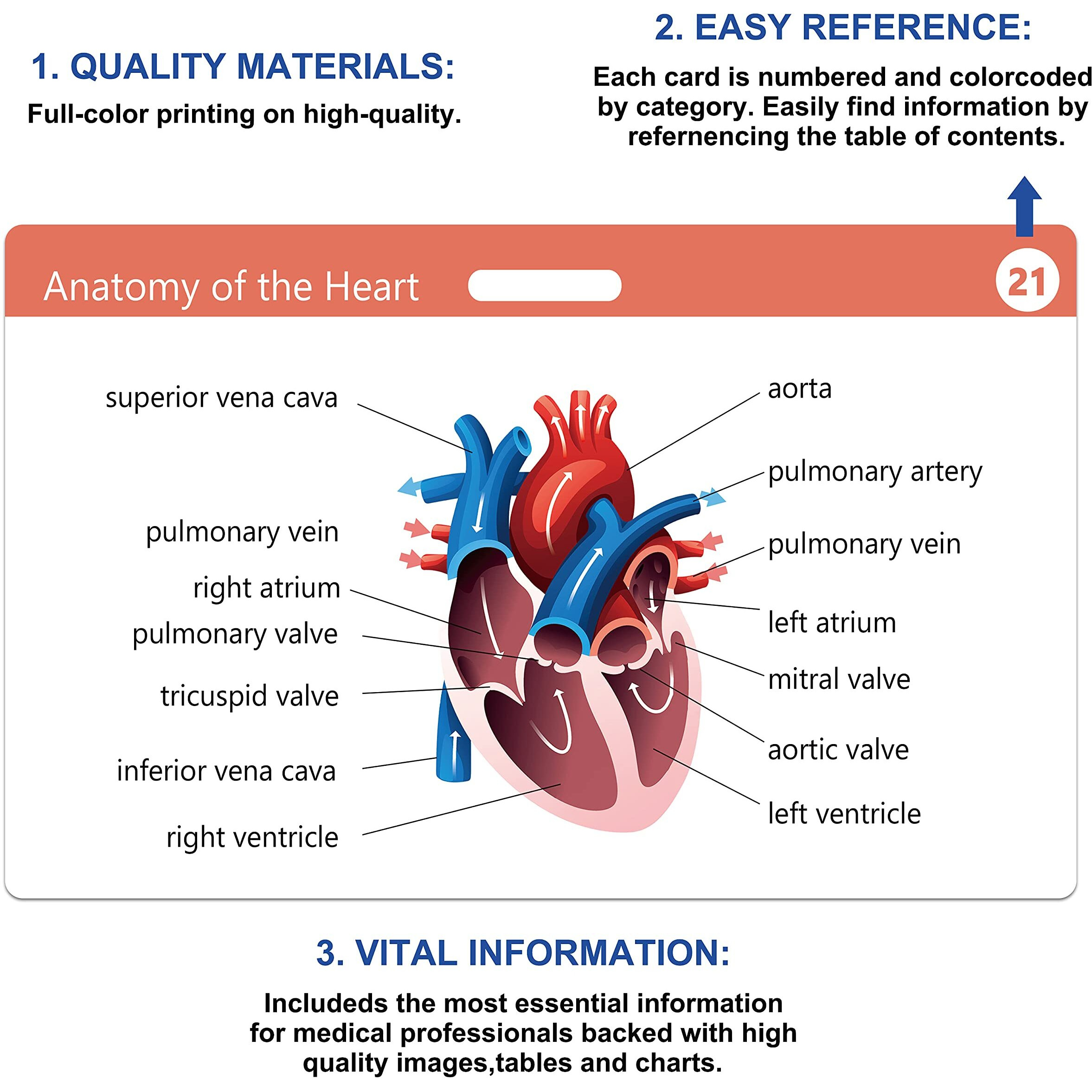 49 Horizontal Nursing Badge Reference Cards  Nursing School Essentials Set  Bonus Cheat Sheets - Lab Values  Ekg  Vitals  Etc For Nurse  Lpn  Or Students