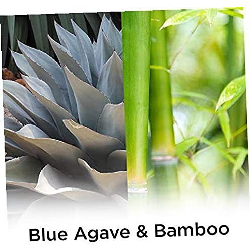 Air Wick Plug In Scented Oil Refill  5 Ct  Blue Agave And Bamboo  Air Freshener  Essential Oils