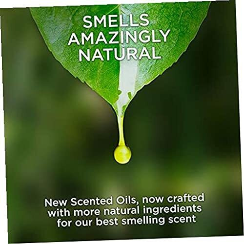 Air Wick Plug In Scented Oil Refill  5 Ct  Blue Agave And Bamboo  Air Freshener  Essential Oils