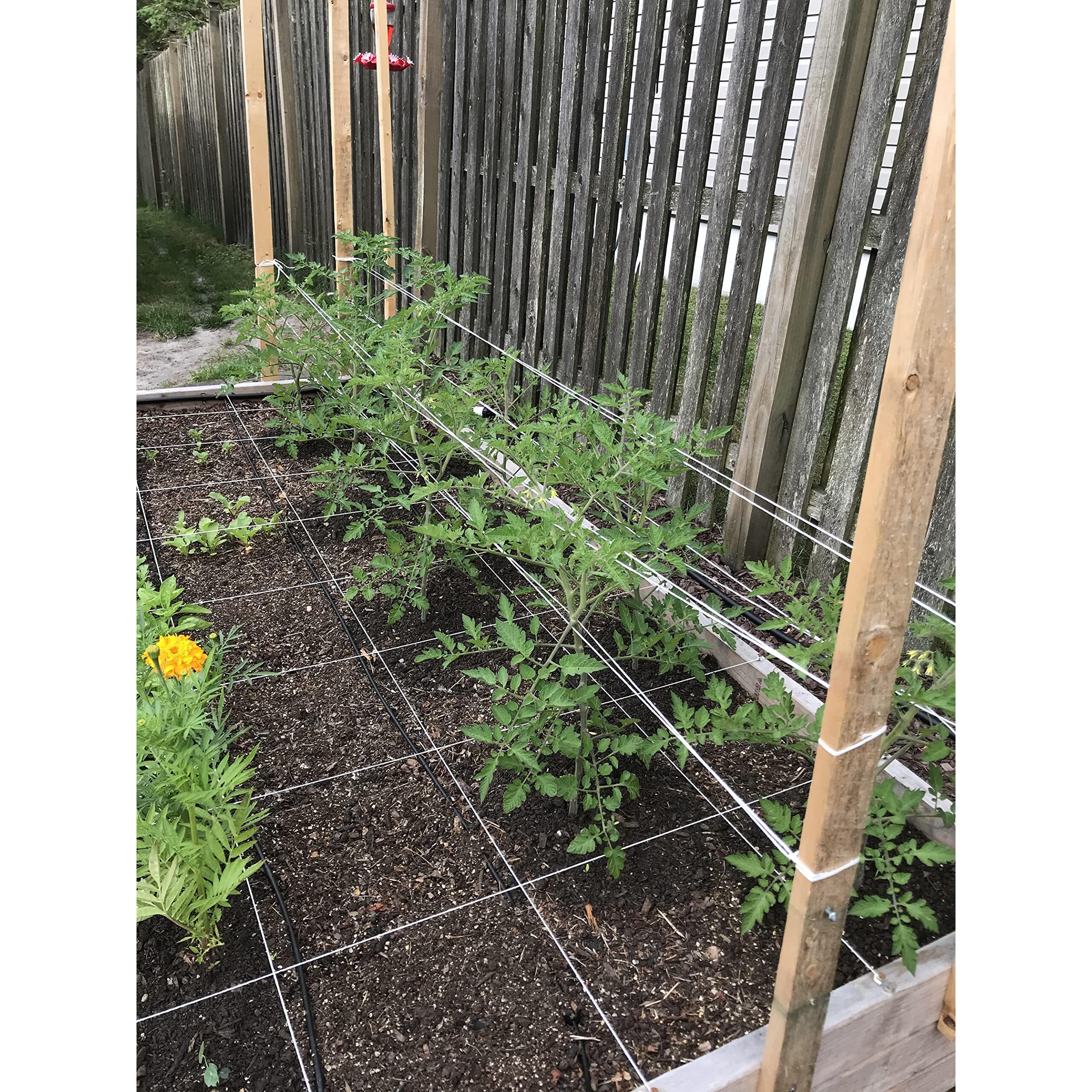 Irrigation-Mart 6300Ft Tomato Tying Garden Twine