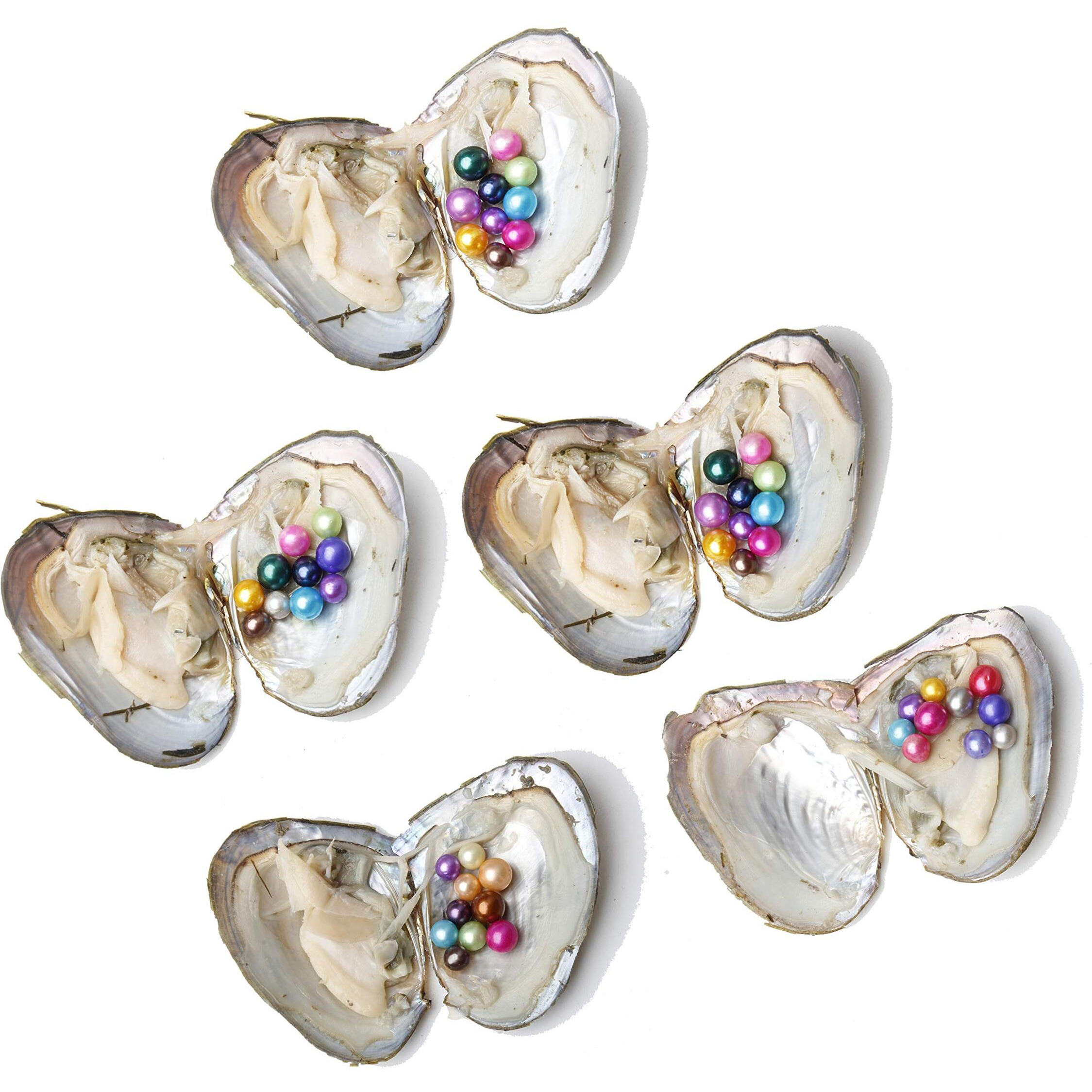 Jnmm 5Pc Pearl Oysters Freshwater Cultured With 10 Mix Color Round Love Wish Oysters With Pearls Inside 10 Colors (7-8Mm)  Valentines Mothers Day Birthday Gifts Pearl Wedding Party (Total 50 Pearls)