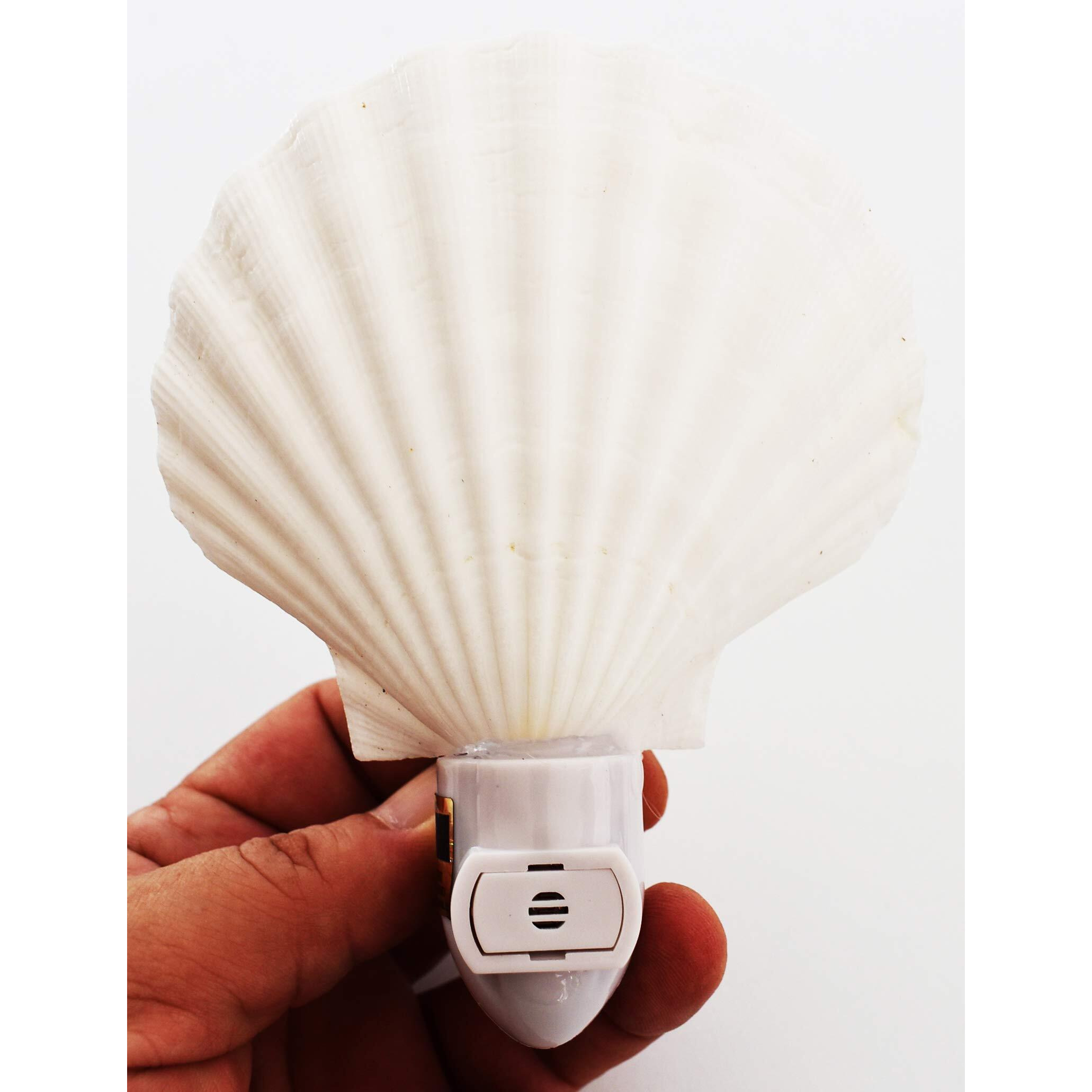 Florida Shells And Gifts Inc. Seashell Night Light Real White Scallop Shell Beach Decor W. On/Off Switch Beautiful Coastal Cottage