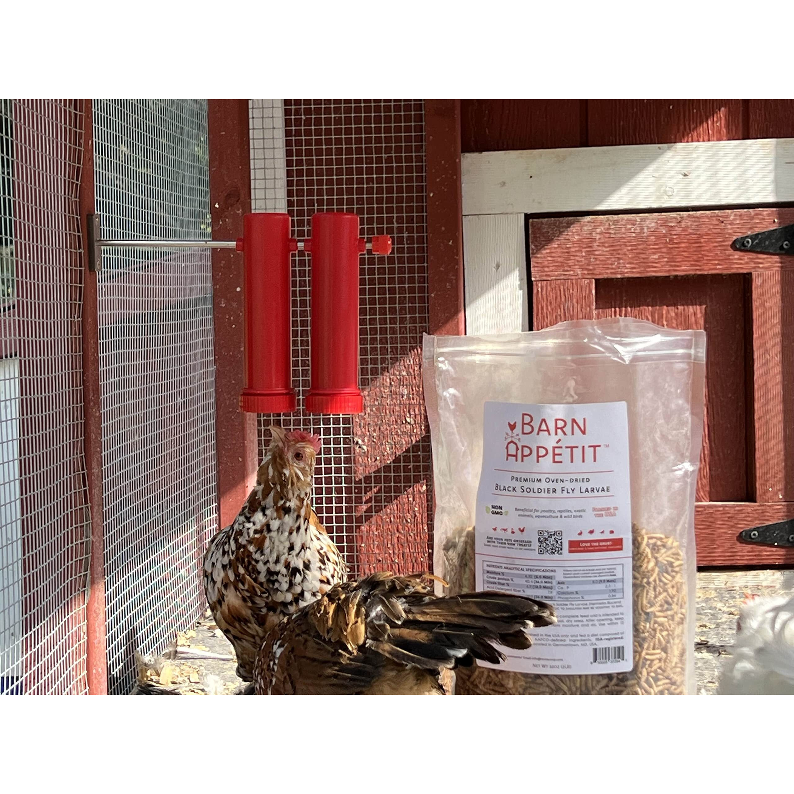 Rentacoop Chicken Treat Dispenser - Suitable For Small And Large Treats - Wall-Mounted For Indoor And Outdoor Use - Small Size With 2 Tubes