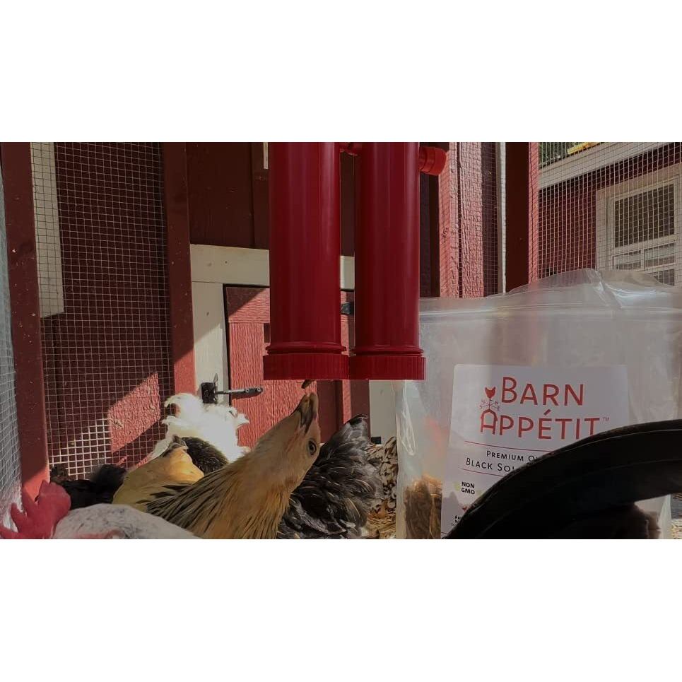 Rentacoop Chicken Treat Dispenser - Suitable For Small And Large Treats - Wall-Mounted For Indoor And Outdoor Use - Small Size With 2 Tubes