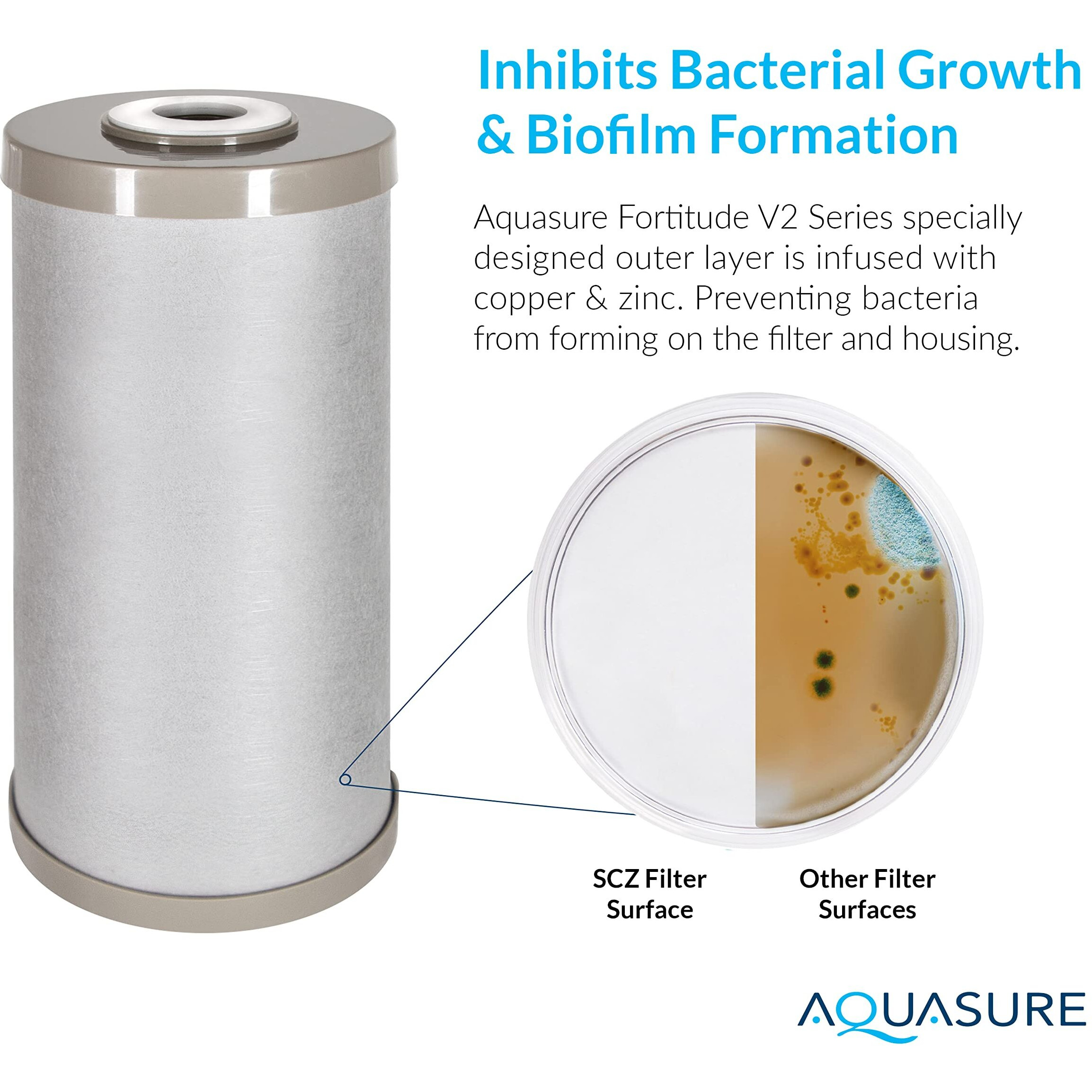 Fortitude V2 Series Sediment/Carbon/Zinc Bacteria Inhibiting Triple Purpose Replacement Filter - Standard (Sediment/Carbon/Zinc  Standard)
