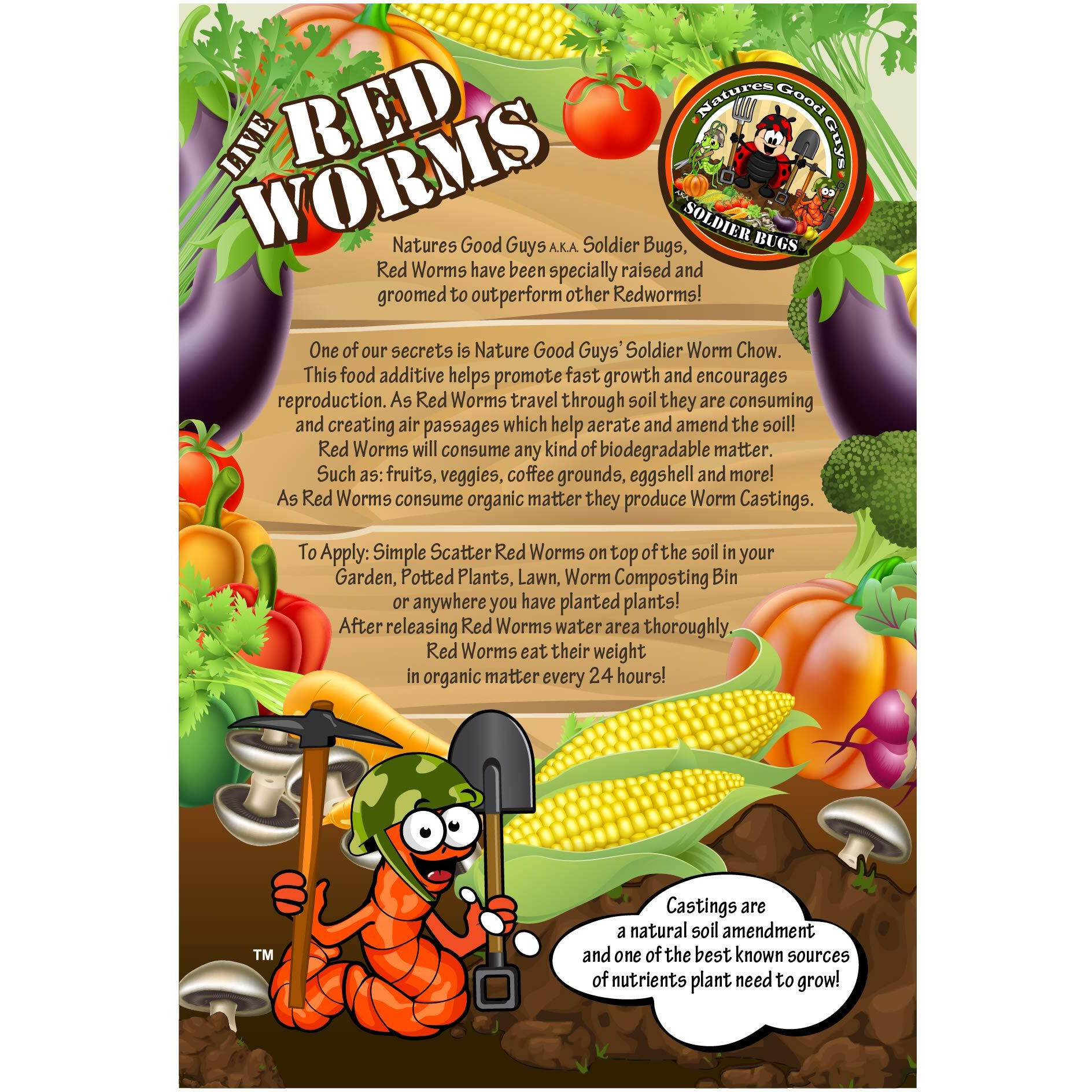 Naturesgoodguys Live Redworms Composting Red Worms - 600 Red Wigglers