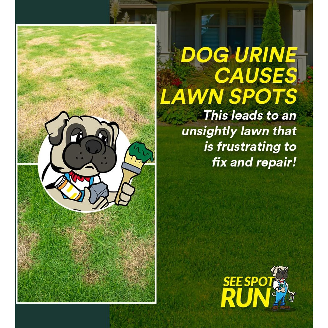See Spot Run Eliminate Yellow Spots On Your Lawn Caused By Dog Urine | All-Natural  Safe For Pets And Humans | Made In The Usa | Ready-To-Mix Gallon (32 Oz)