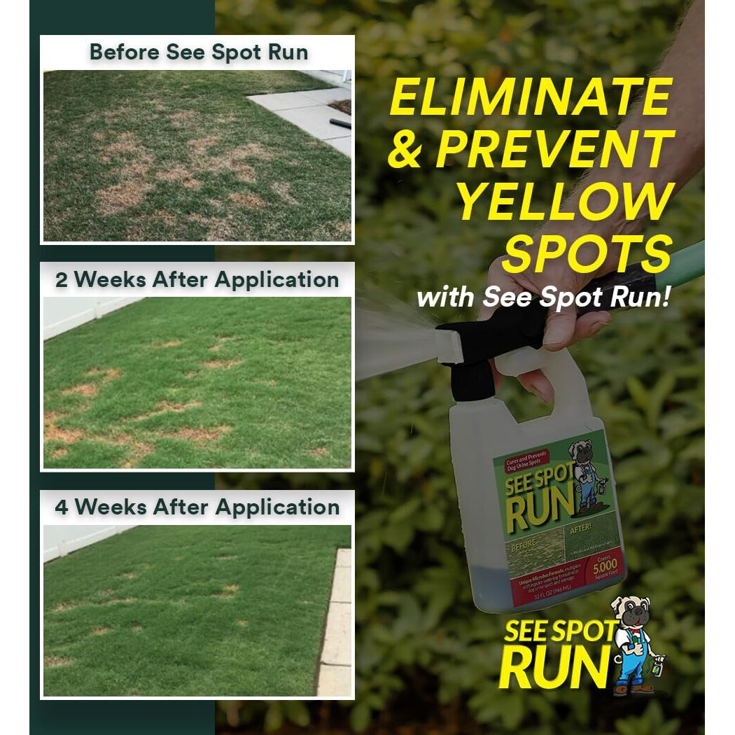 See Spot Run Eliminate Yellow Spots On Your Lawn Caused By Dog Urine | All-Natural  Safe For Pets And Humans | Made In The Usa | Ready-To-Mix Gallon (32 Oz)