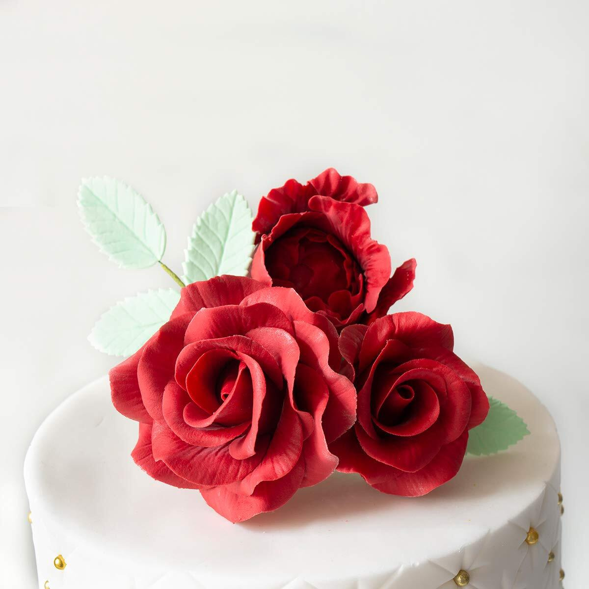 Flower Pro Ultimate Petal Veiner Silicone Molds. A Front & Back Petal Veiner For Fondant  Gum Paste  Sugar Paste & Air Dry Clay From Katy Sue Designs Fondant Molds  Silicone Molds & Air Dry Clay Molds