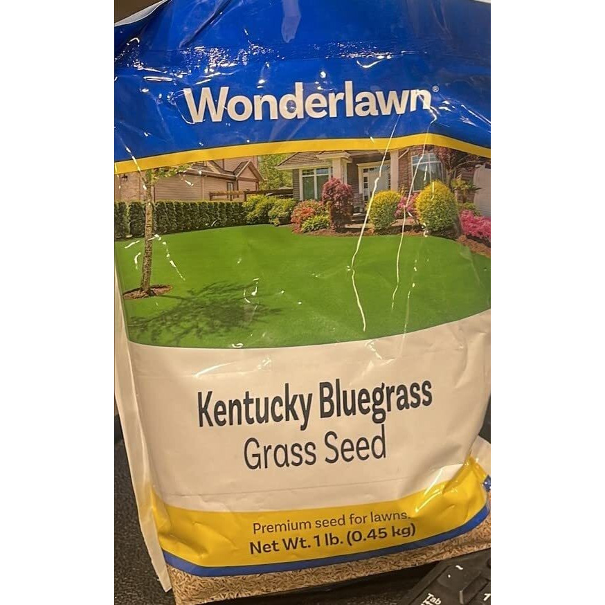 Grass Seed Blnd Kbg1