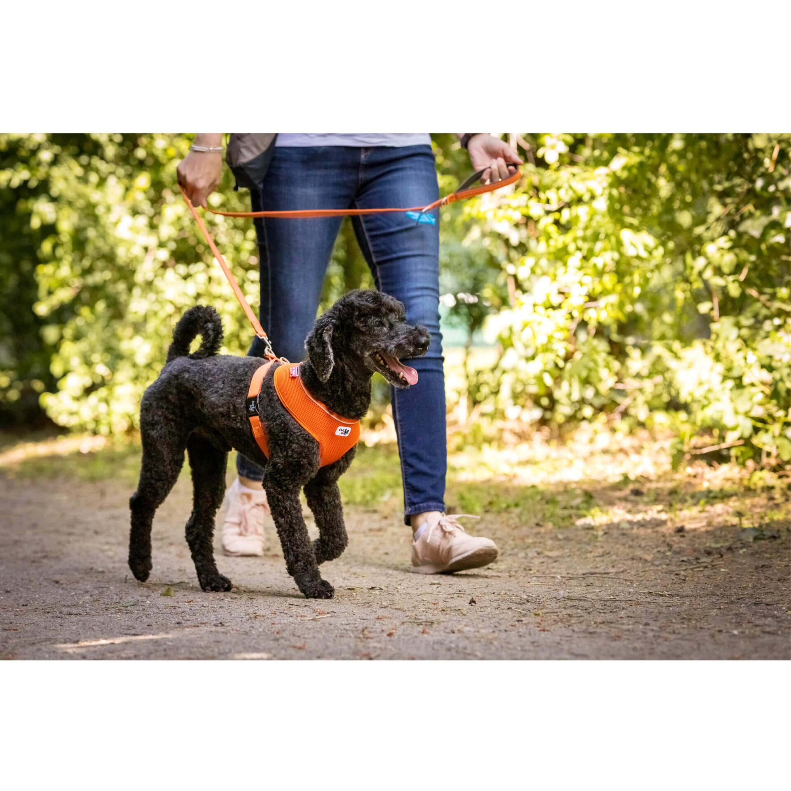 Curli Basic Harness Air-Mesh Dog Harness Pet Vest Adjustable Step-In Light Harness Black L