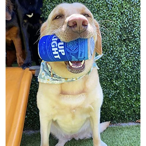 Nestpark Pup Light And Pups Blue Rubbin - Beer Dog Toys - Funny Dog Toys - Plush Squeaky Cute Dog Gifts For Dog Birthday - Cool Stuffed Parody Dog Toys (2 Pack) (Mix)