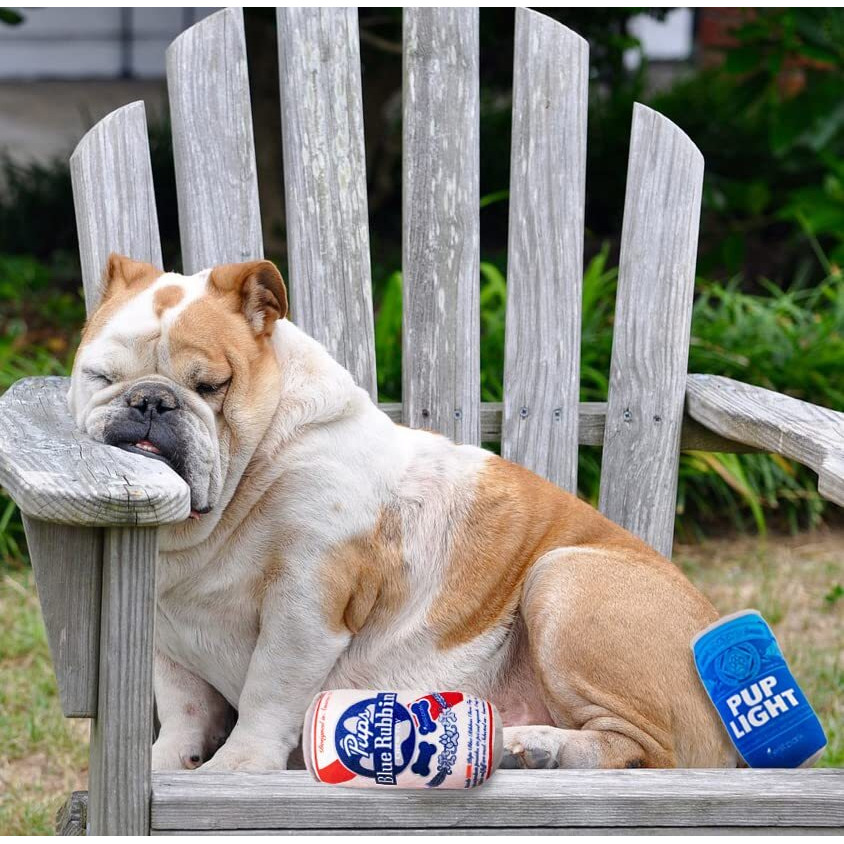 Nestpark Pup Light And Pups Blue Rubbin - Beer Dog Toys - Funny Dog Toys - Plush Squeaky Cute Dog Gifts For Dog Birthday - Cool Stuffed Parody Dog Toys (2 Pack) (Mix)