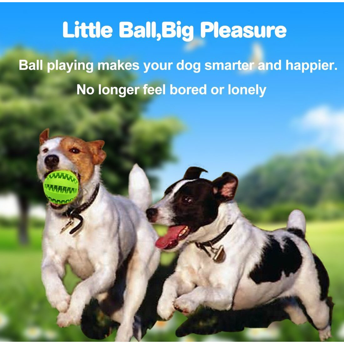 Idepet Dog Toy Ball  Nontoxic Bite Resistant Toy Ball For Pet Dogs Puppy Cat  Dog Pet Food Treat Feeder Chew Tooth Cleaning Ball Exercise Game Iq Training Ball(2 Pack-Blue&Green)