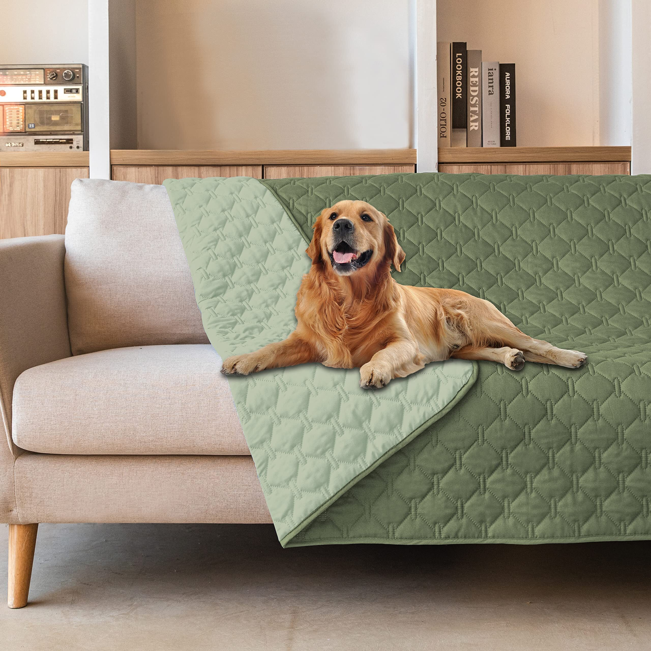 Gogobunny 100% Double-Sided Waterproof Dog Bed Cover Pet Blanket Sofa Couch Furniture Protector For Puppy Large Dog Cat  Reversible (68X82 Inch (Pack Of 1)  Dark Green/Light Green)
