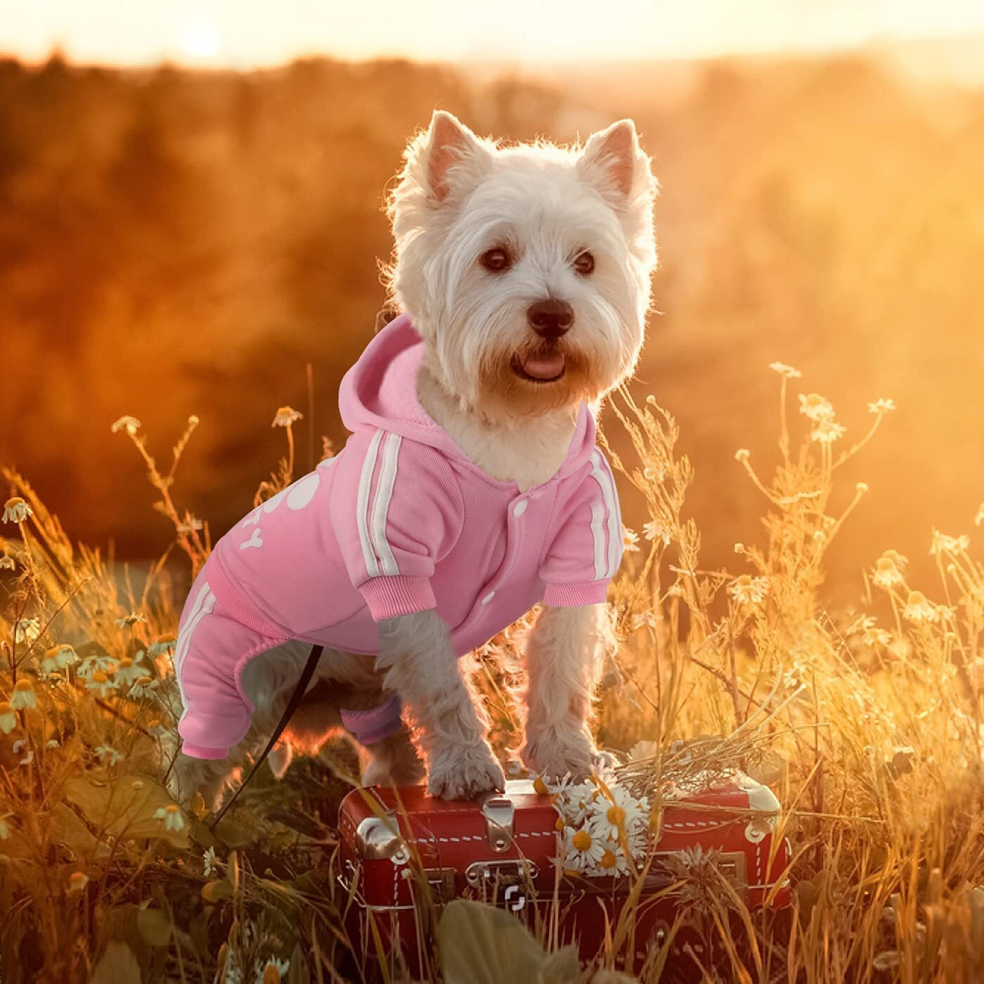 Otunrues Dog Hoodie  Dog Clothes 4 Legs Sweatshirt Security Hoodies Jumpsuit Soft & Warm Sweater Outfit Pullover Dog Winter Coat  Dog Hoodies For Small Medium Large Dogs Cats Apparel(Pink  Xxs)