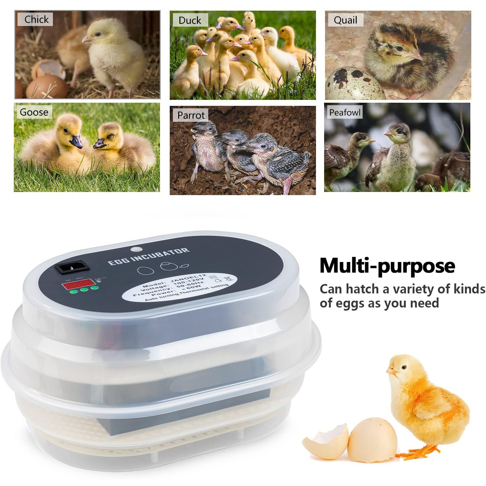 Hblife Digital Egg Incubator For Hatching 9-12 Chicken  Quail And Duck Eggs  With Fully Automatic Egg Turning And Temperature Display  Hatcher For Turkeys  Birds  Parrots And Poultry